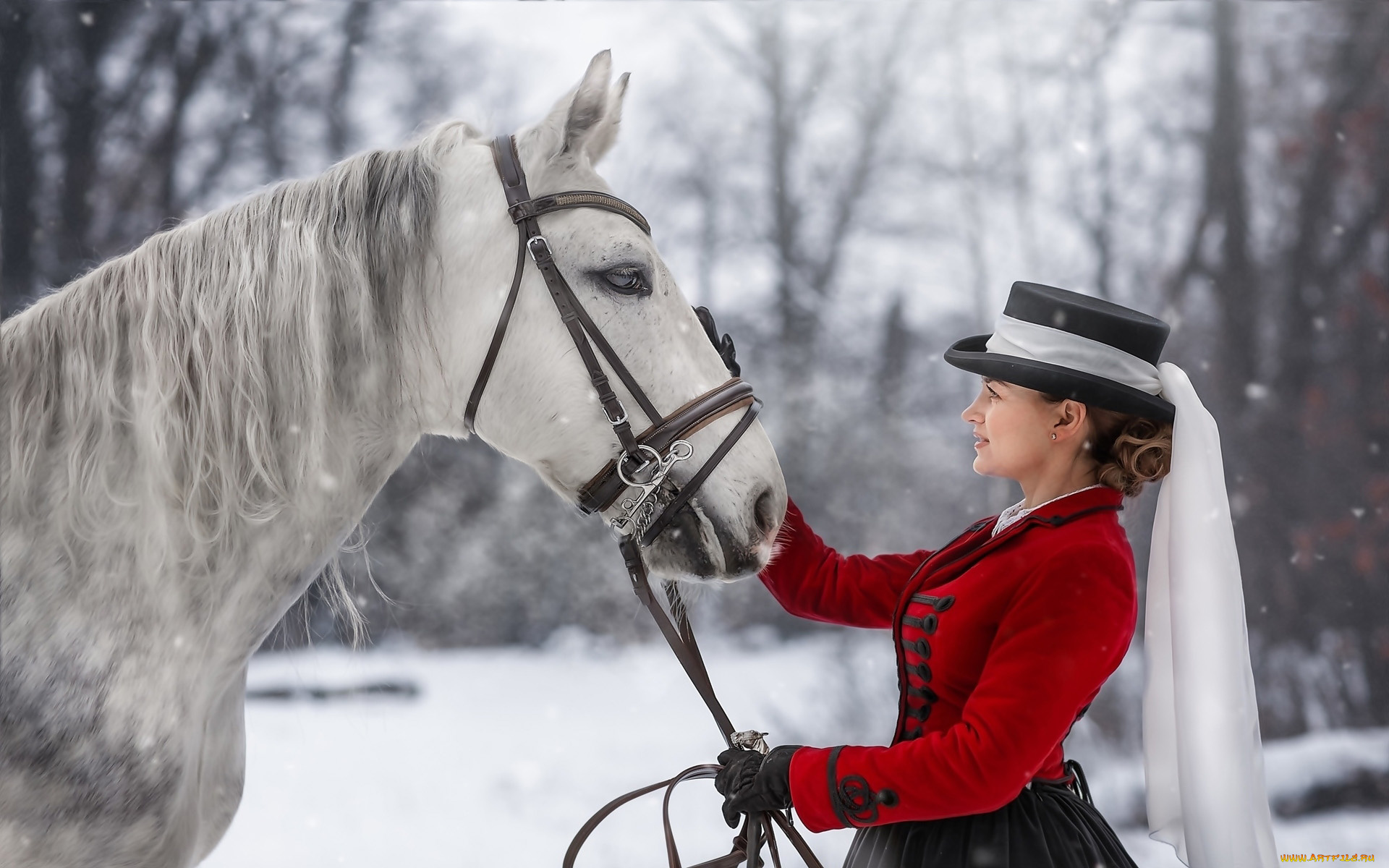 девушки, -, брюнетки, , шатенки, наездница, шатенка, лошадь, шляпа
