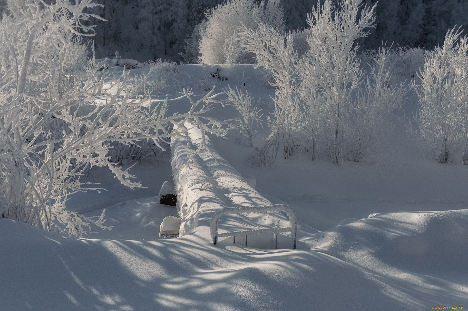 природа, зима, снег, сугробы