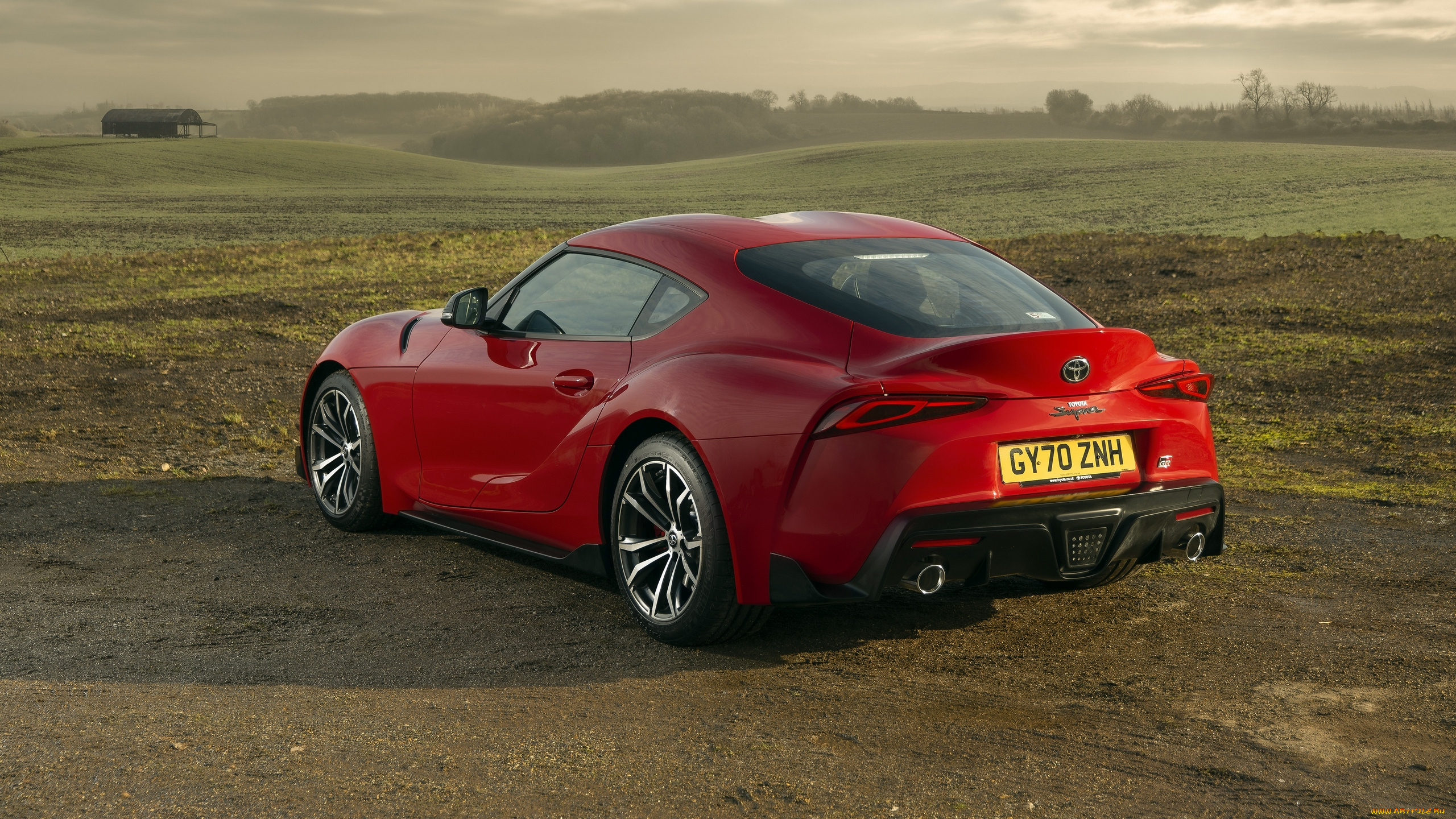 2021, toyota, gr, supra, 2, автомобили, toyota, gr, supra, 20, 2021, купе, вид, сзади