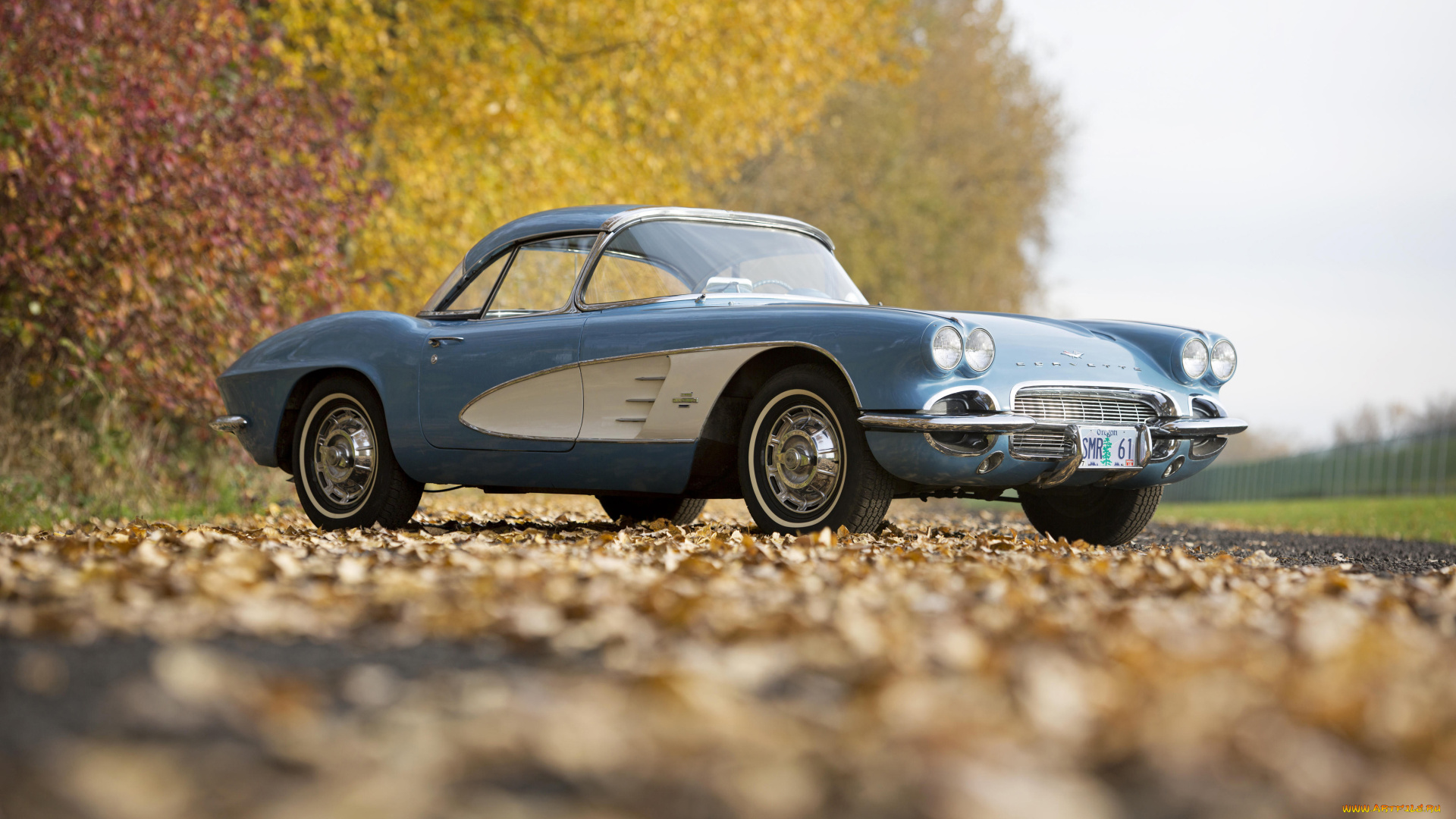 автомобили, corvette