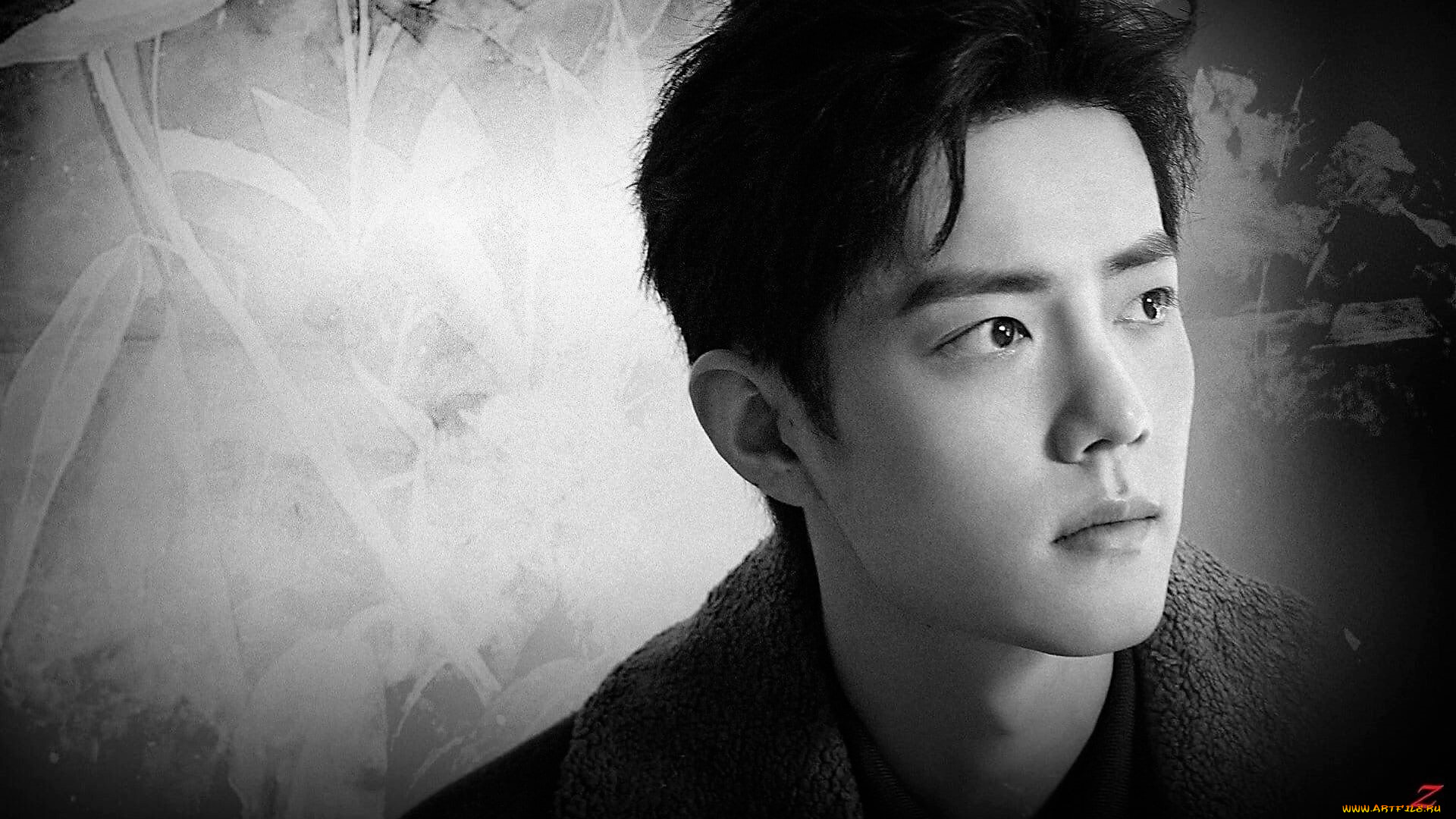 мужчины, xiao, zhan, актер, лицо, воротник