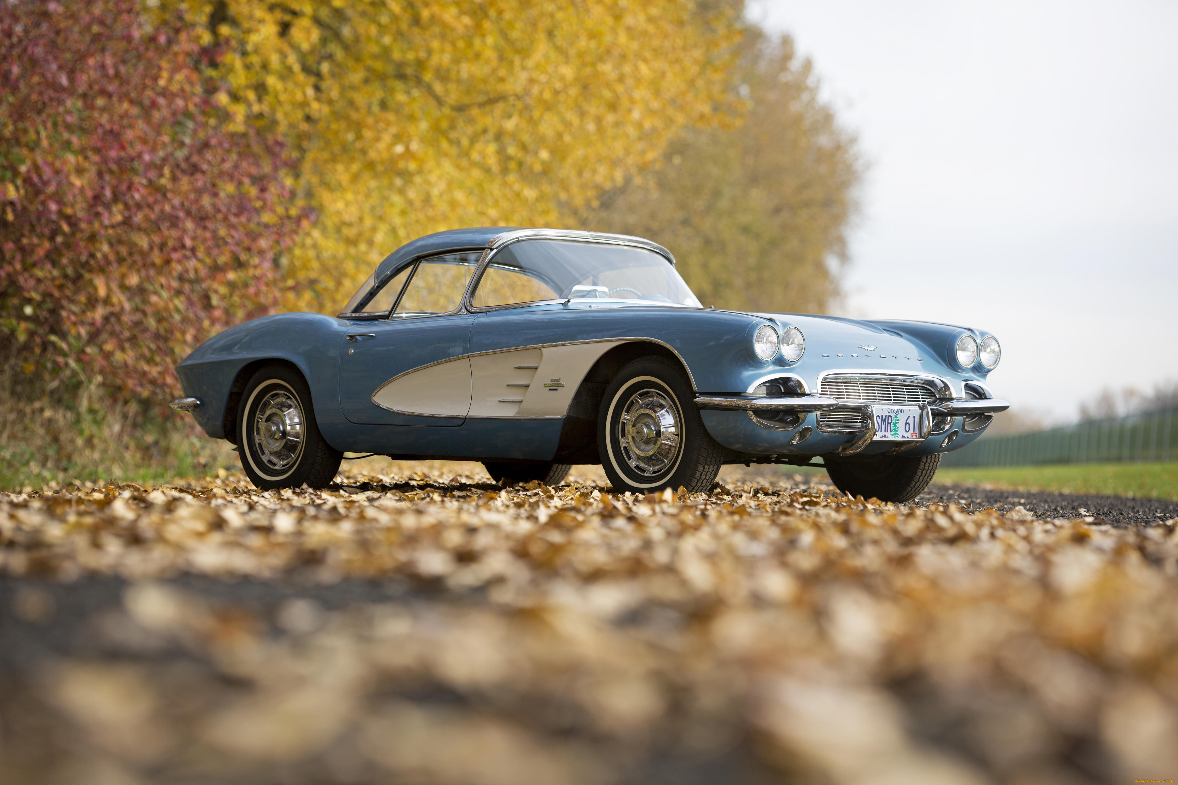 автомобили, corvette