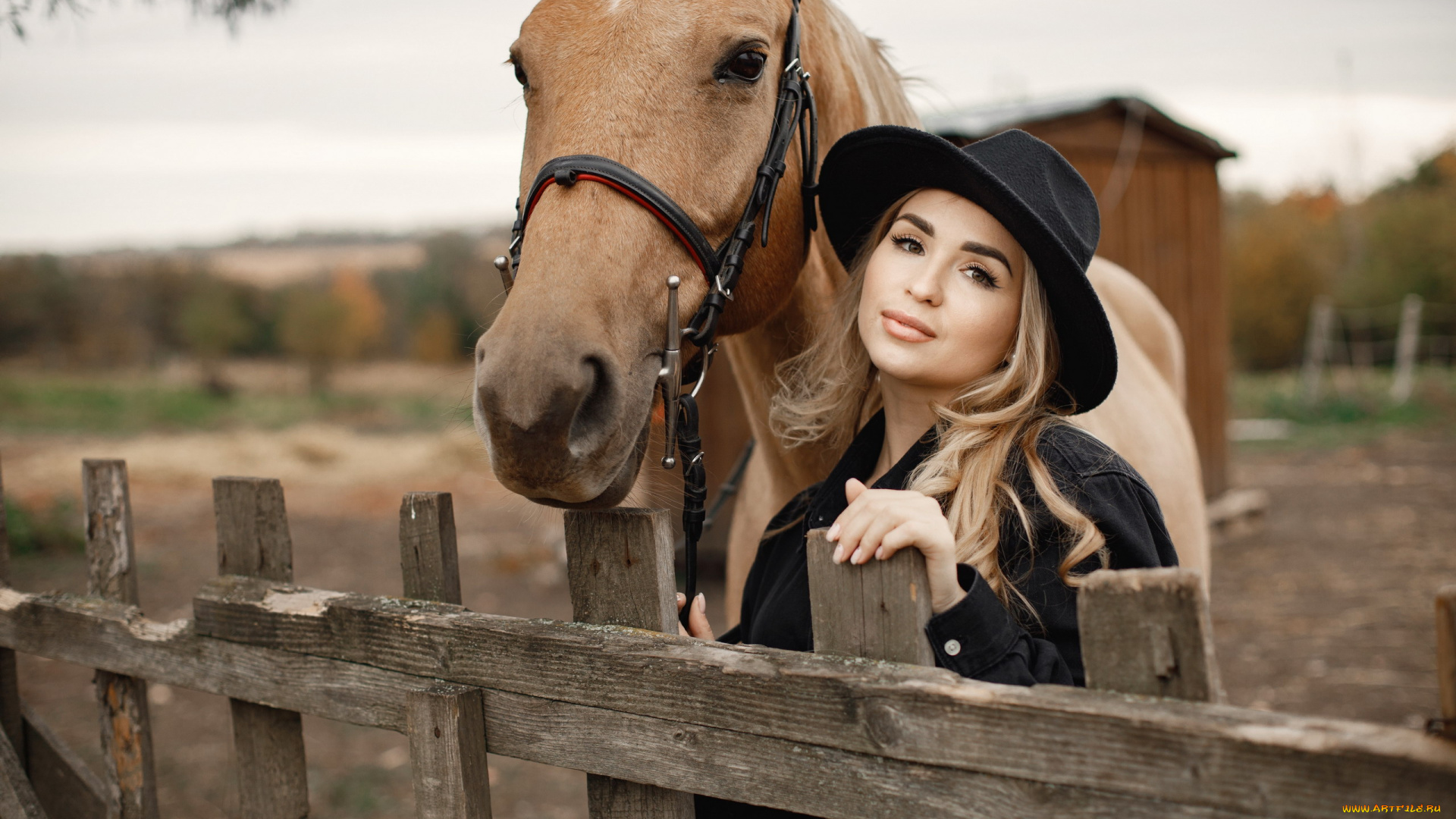 девушки, -, блондинки, , светловолосые, блондинка, карие, глаза, шляпа, лошадь