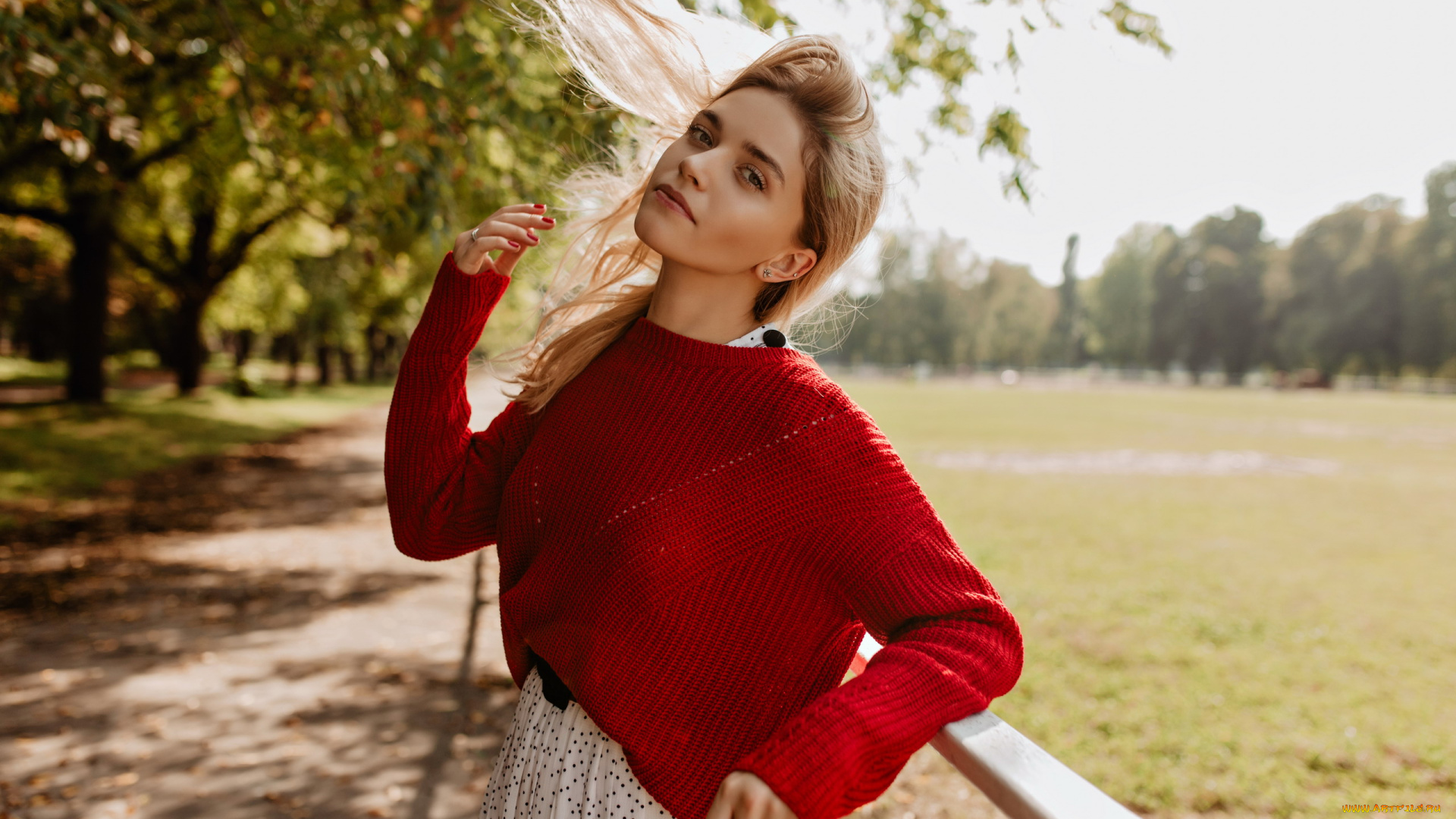 девушки, -, блондинки, , светловолосые, красный, свитер, блондинка, ветер