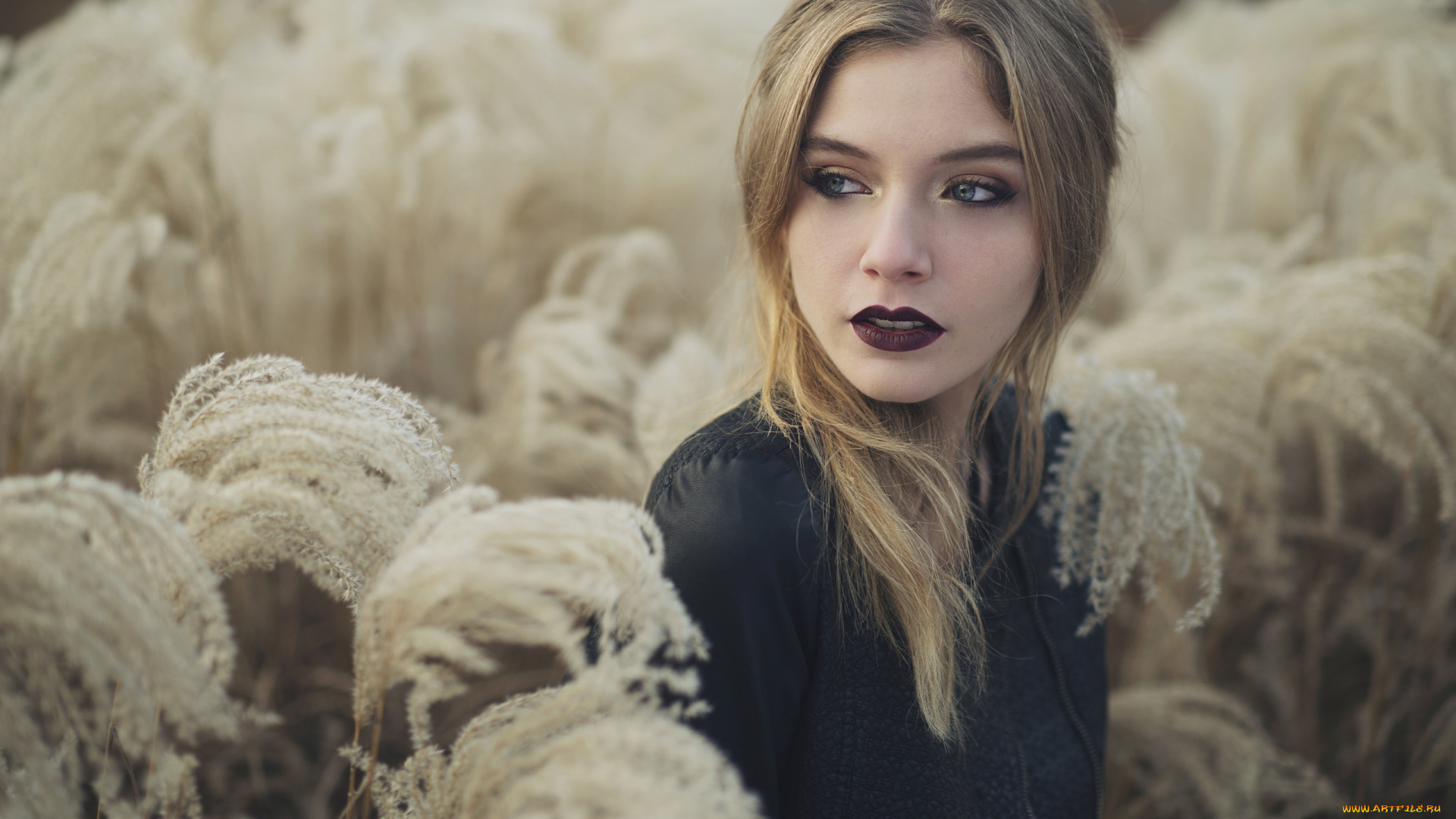 девушки, -, лица, , портреты, макияж