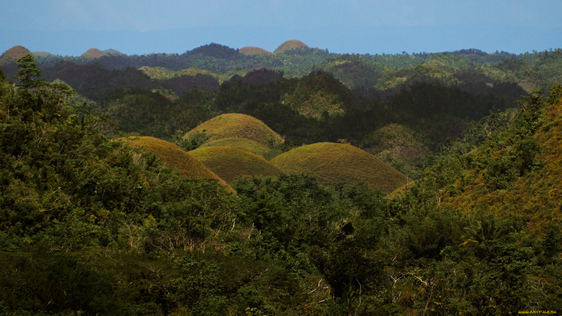chocolate, hills, bohol, philippines, природа, горы, chocolate, hills