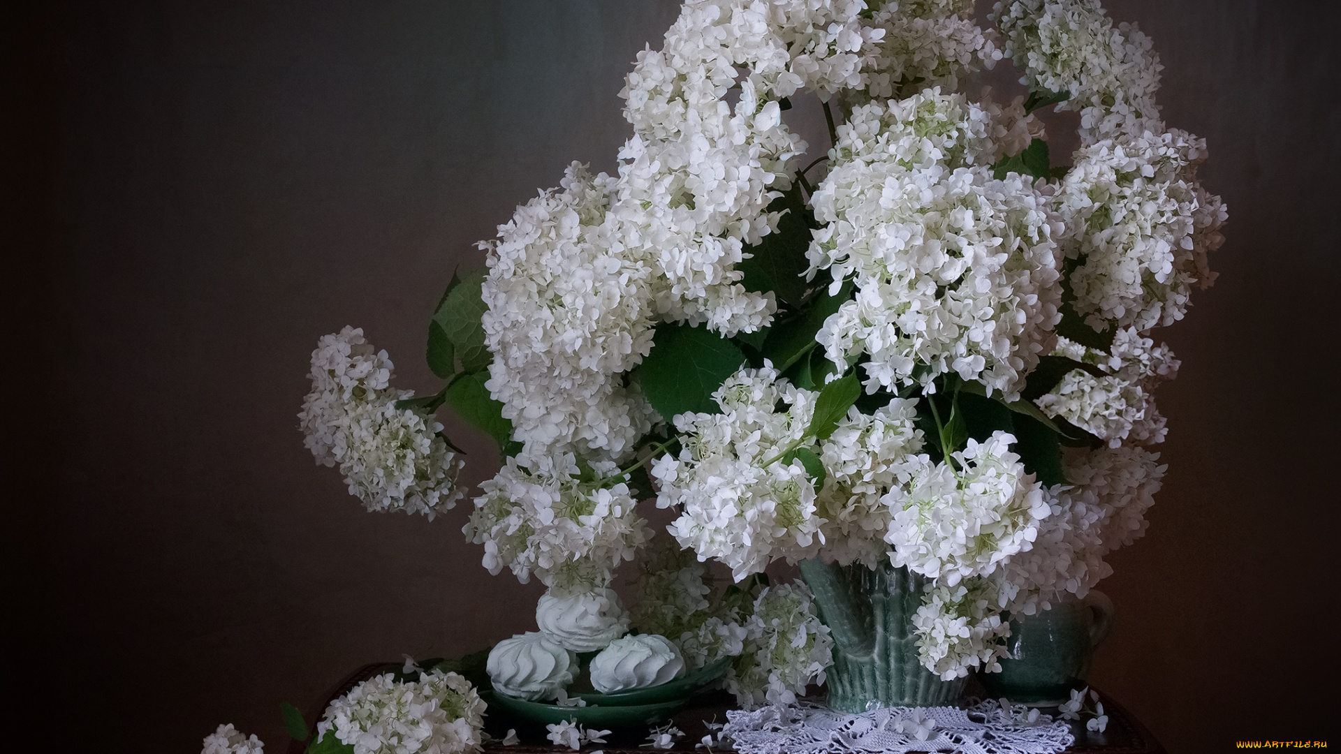 цветы, калина, , бульдонеж