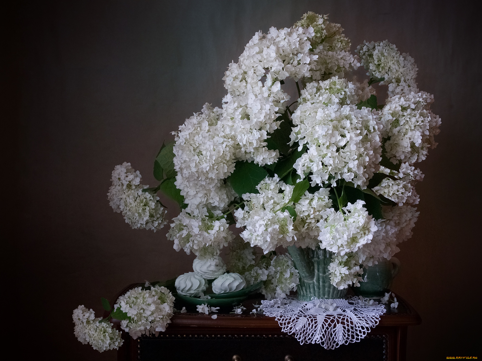 цветы, калина, , бульдонеж