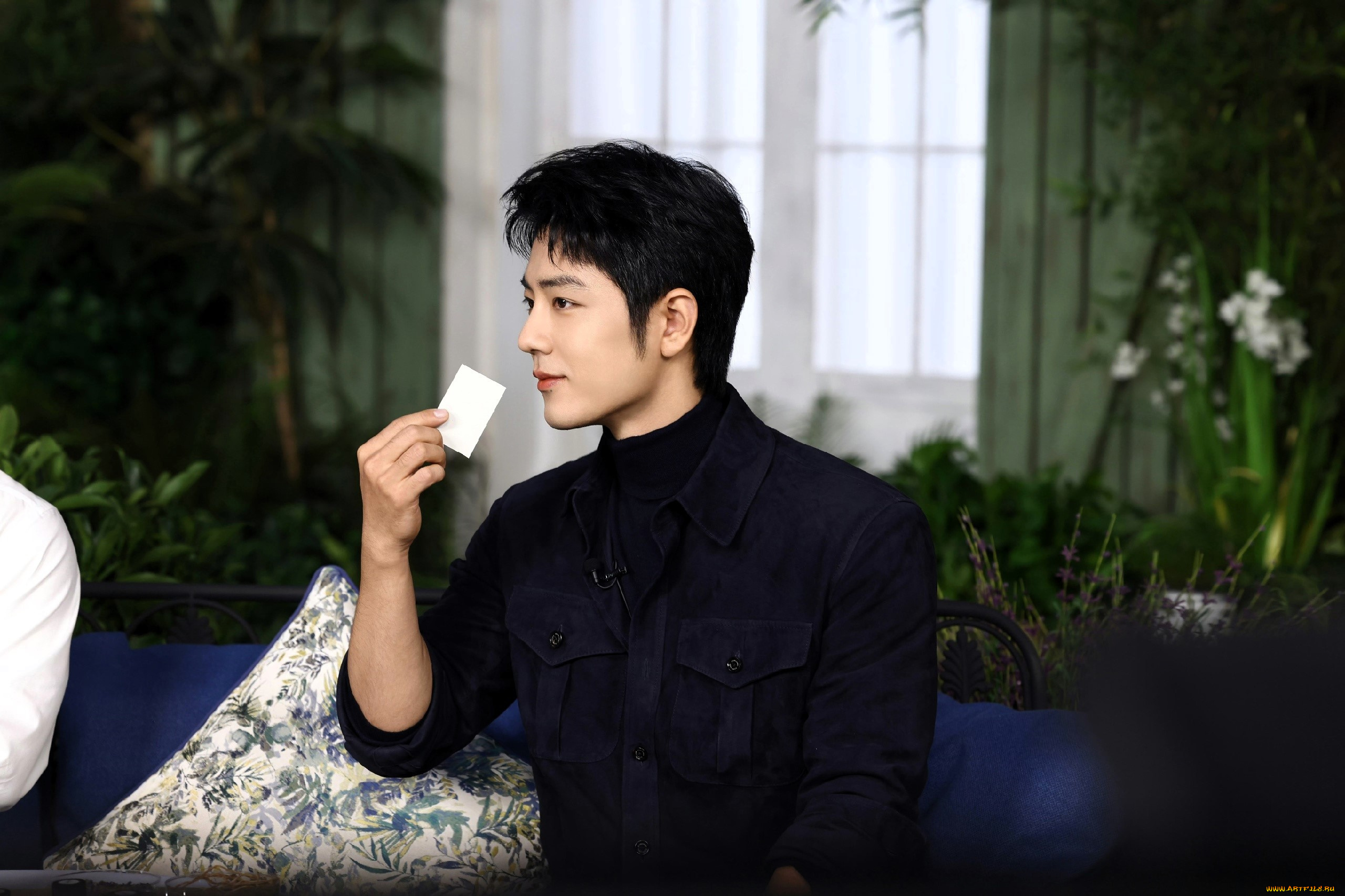 мужчины, xiao, zhan, актер, рубашка, диван, подушки, цветы