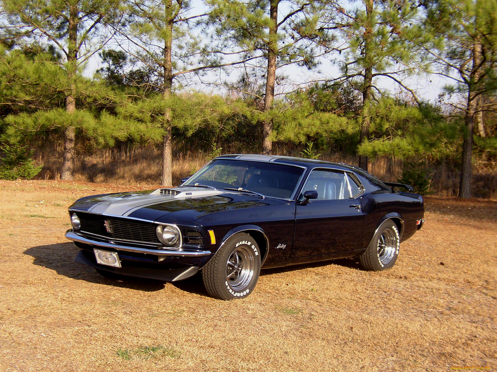 автомобили, ford