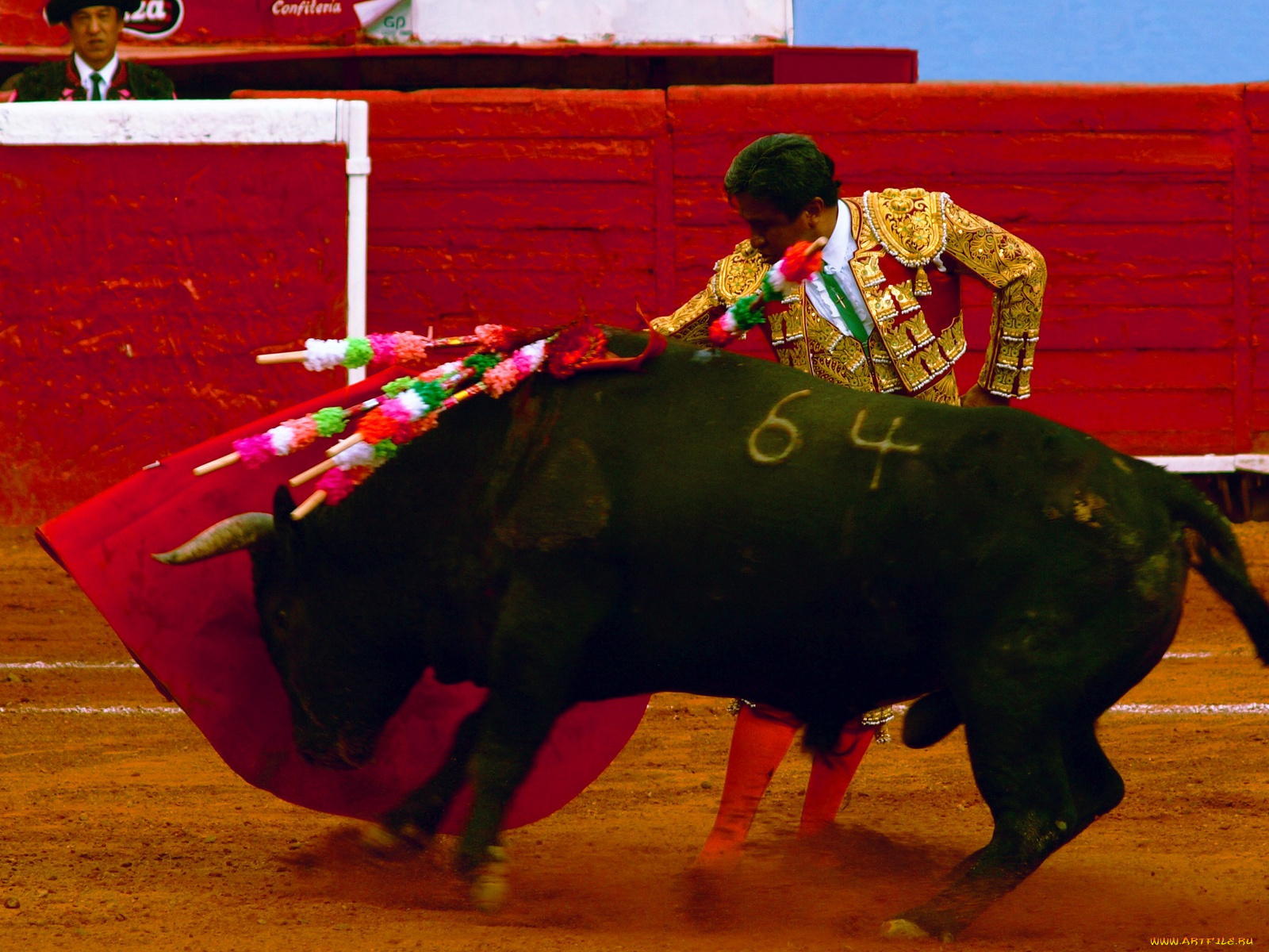 спорт, другое