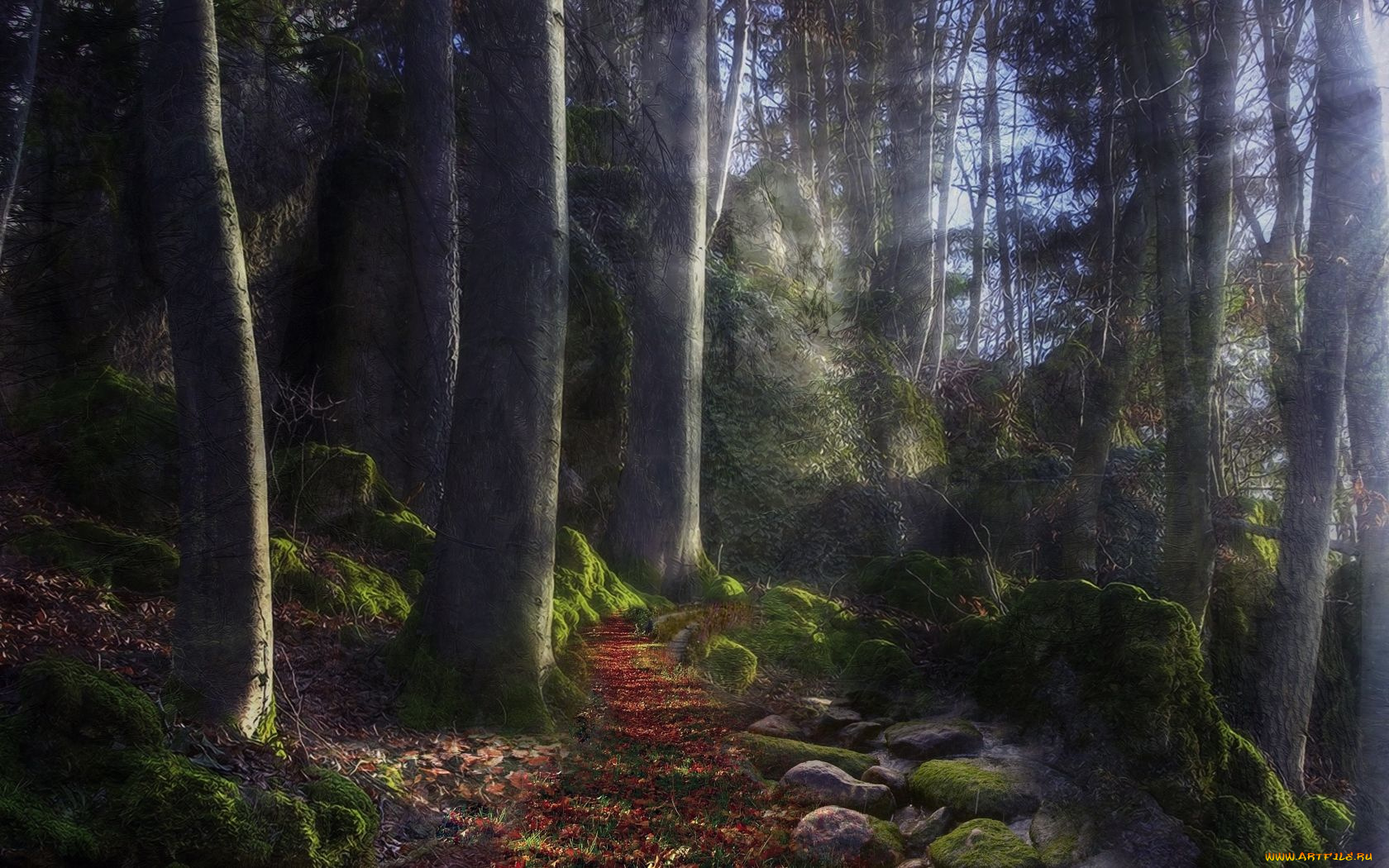 природа, лес