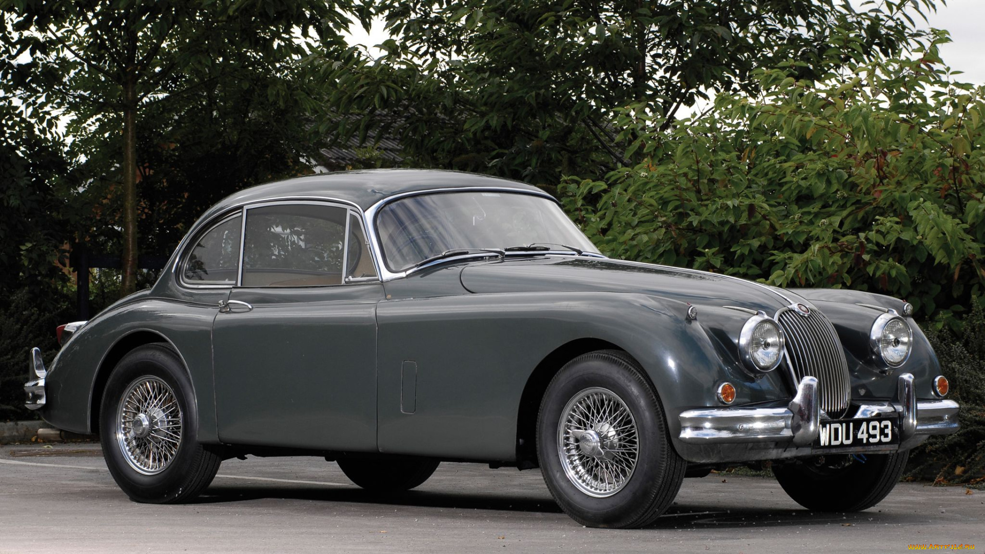 автомобили, jaguar