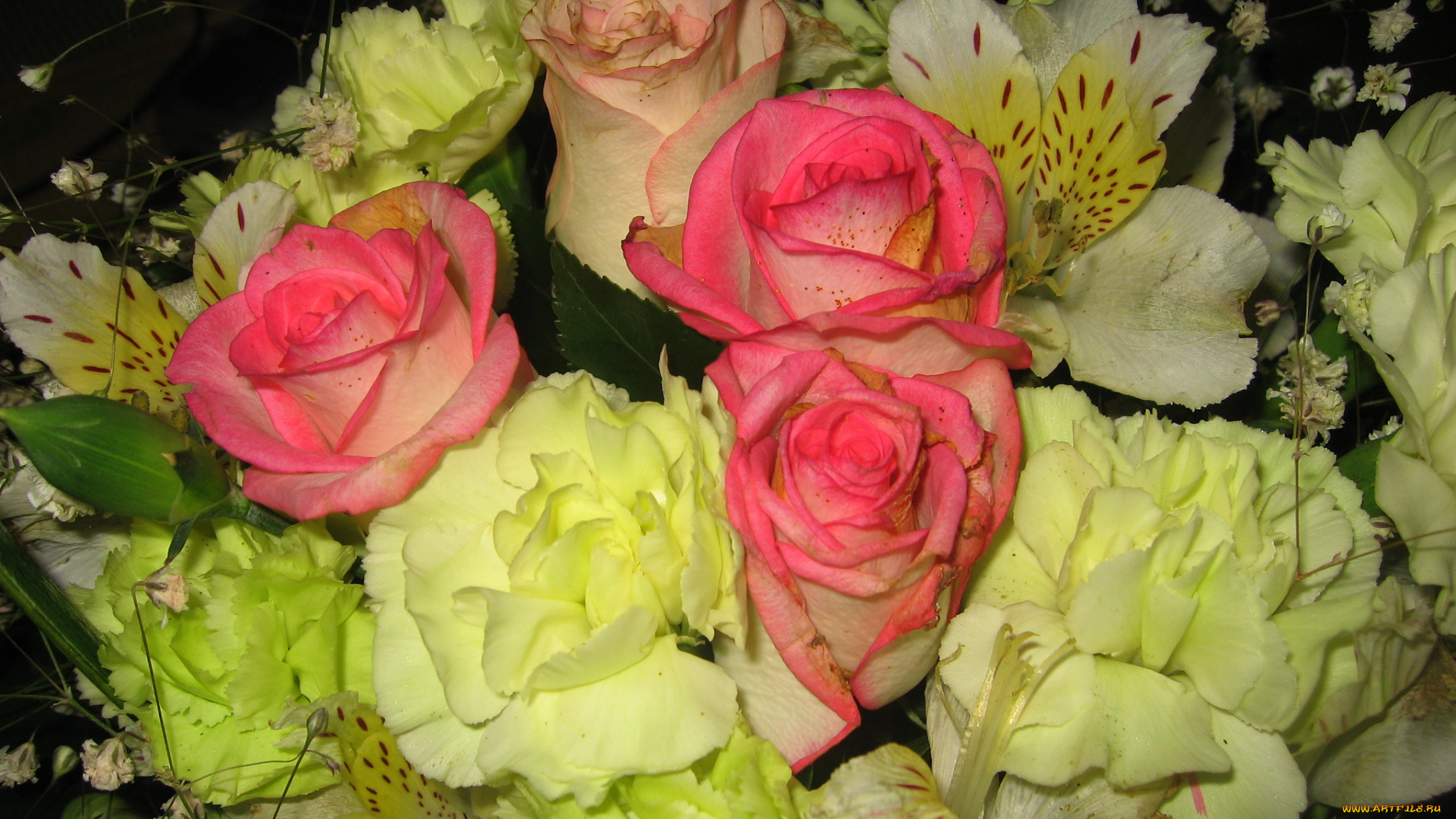 цветы, букеты, композиции