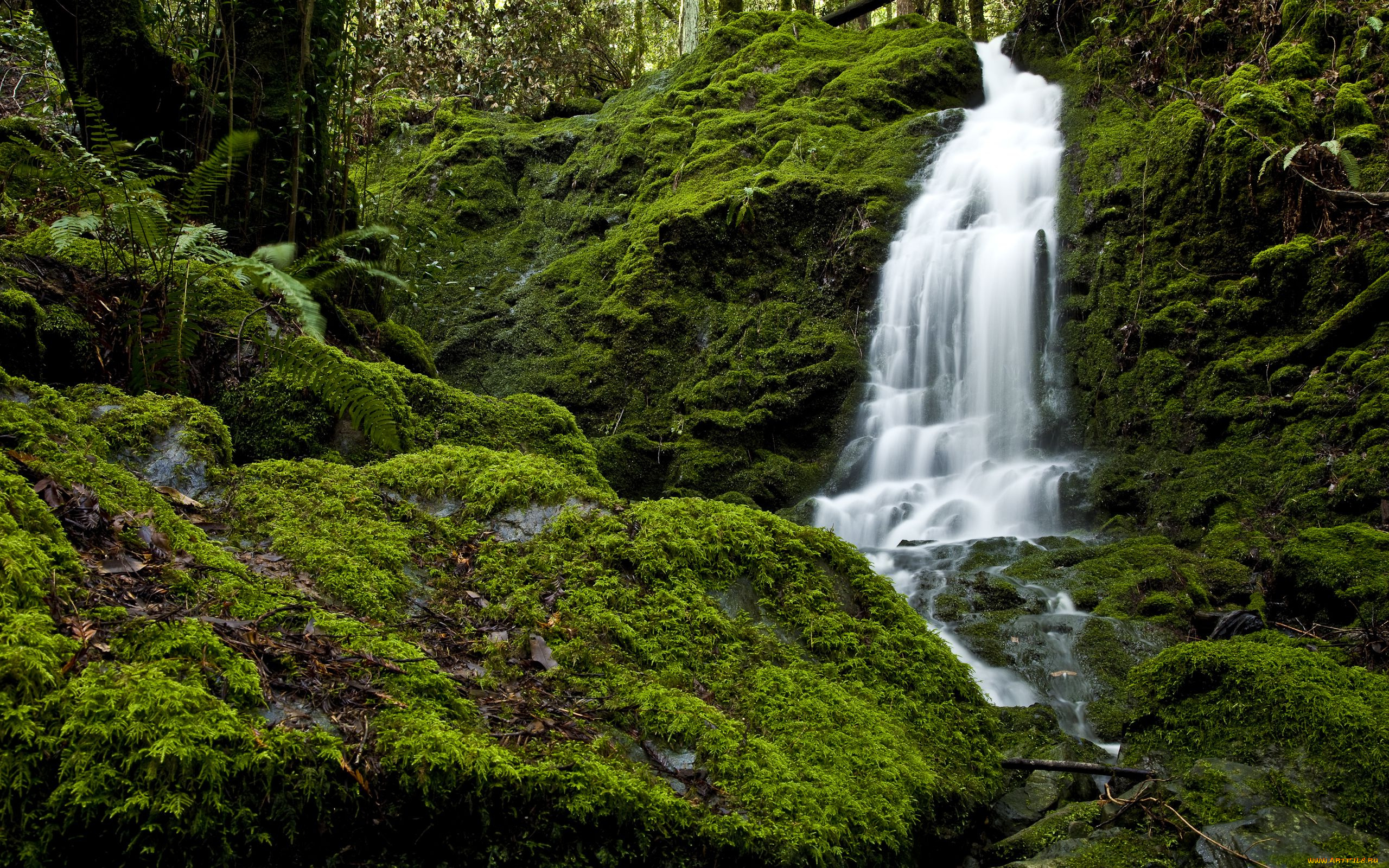 природа, водопады