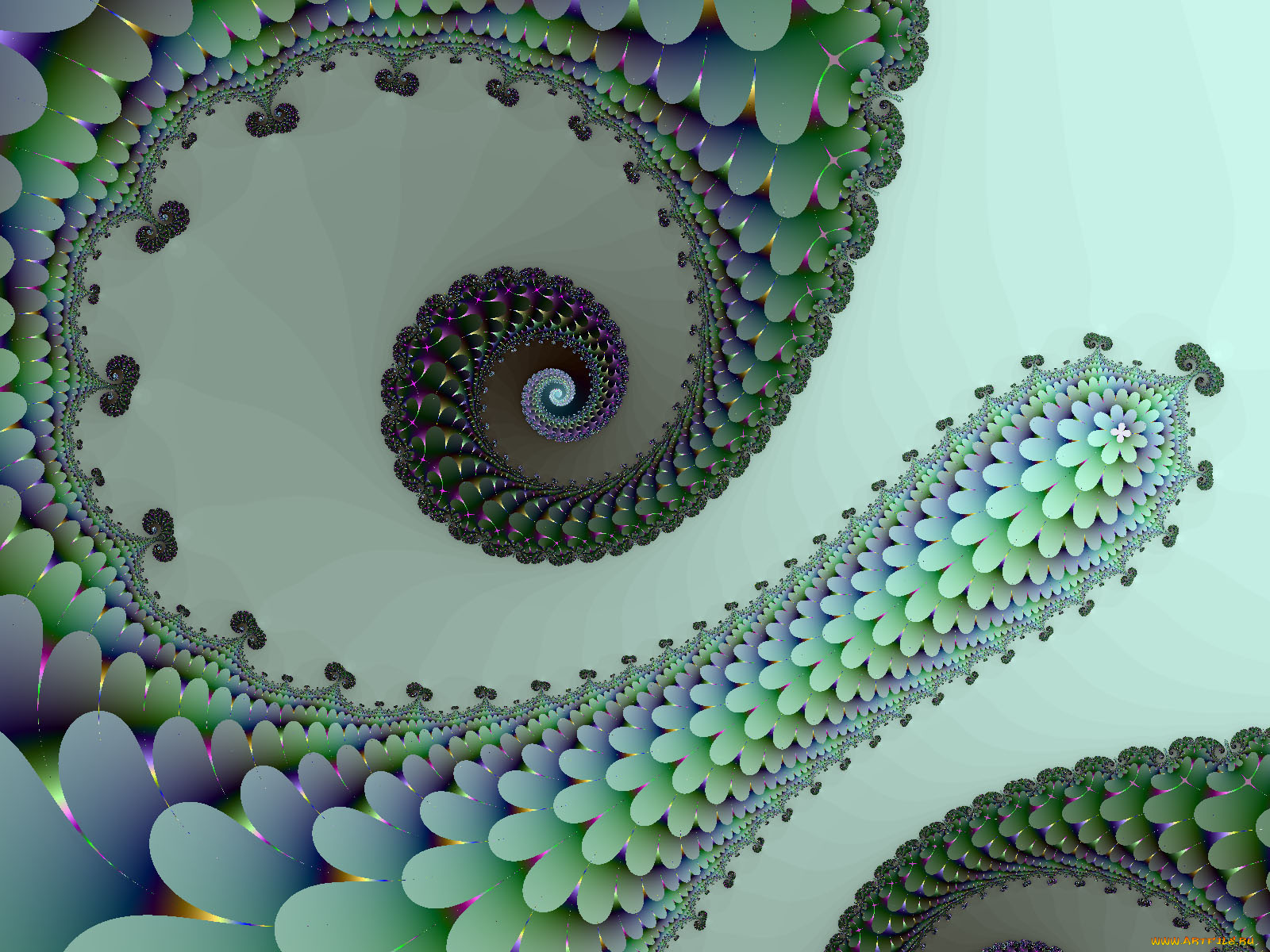 3д, графика, fractal, фракталы, цвета, узор
