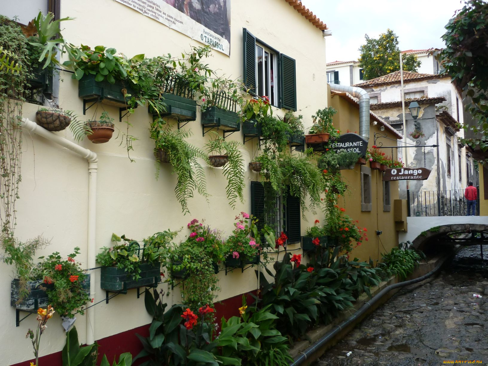 города, улицы, площади, набережные, portugal, madeira, funchal