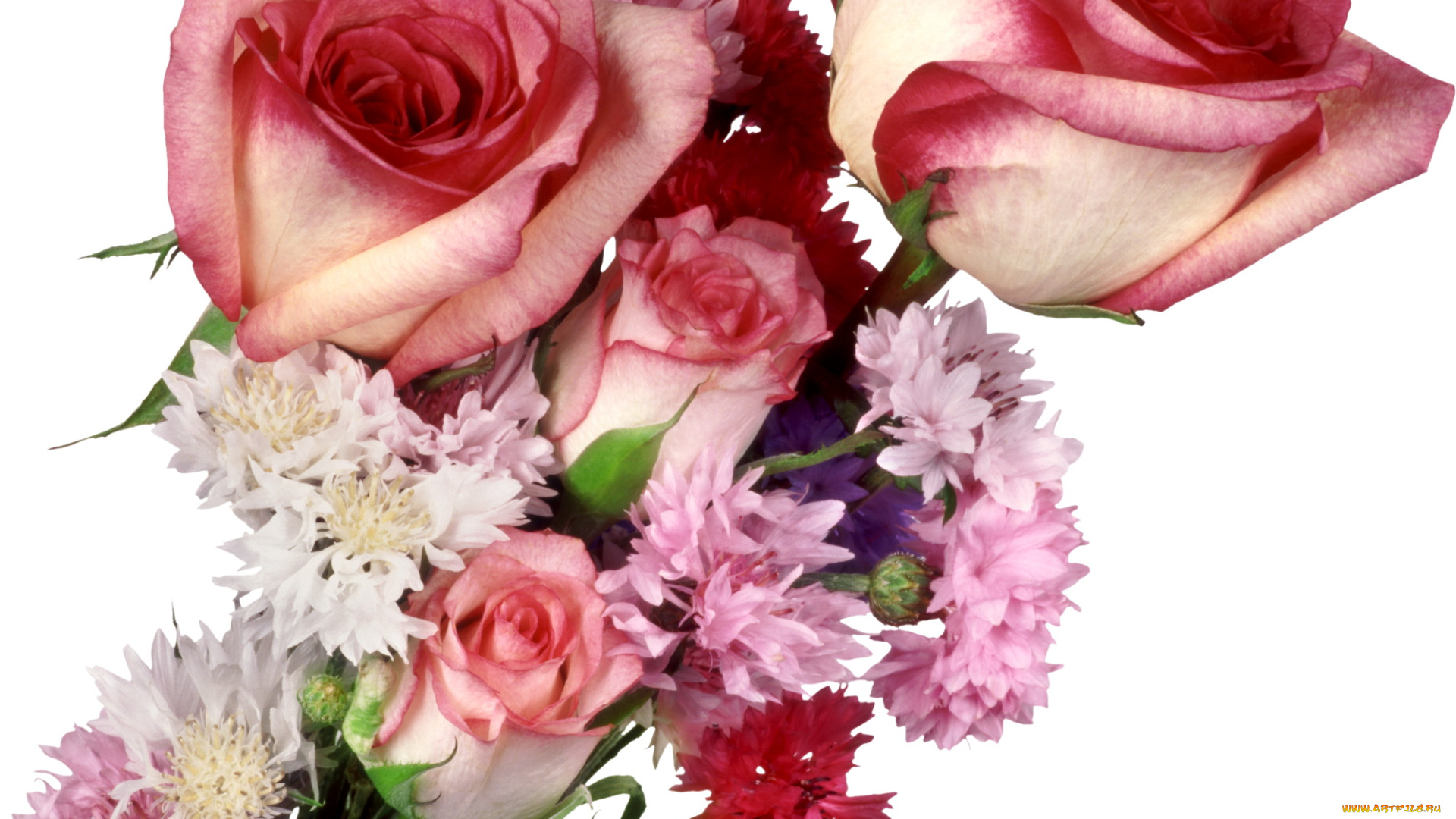 цветы, букеты, композиции, розы, васильки