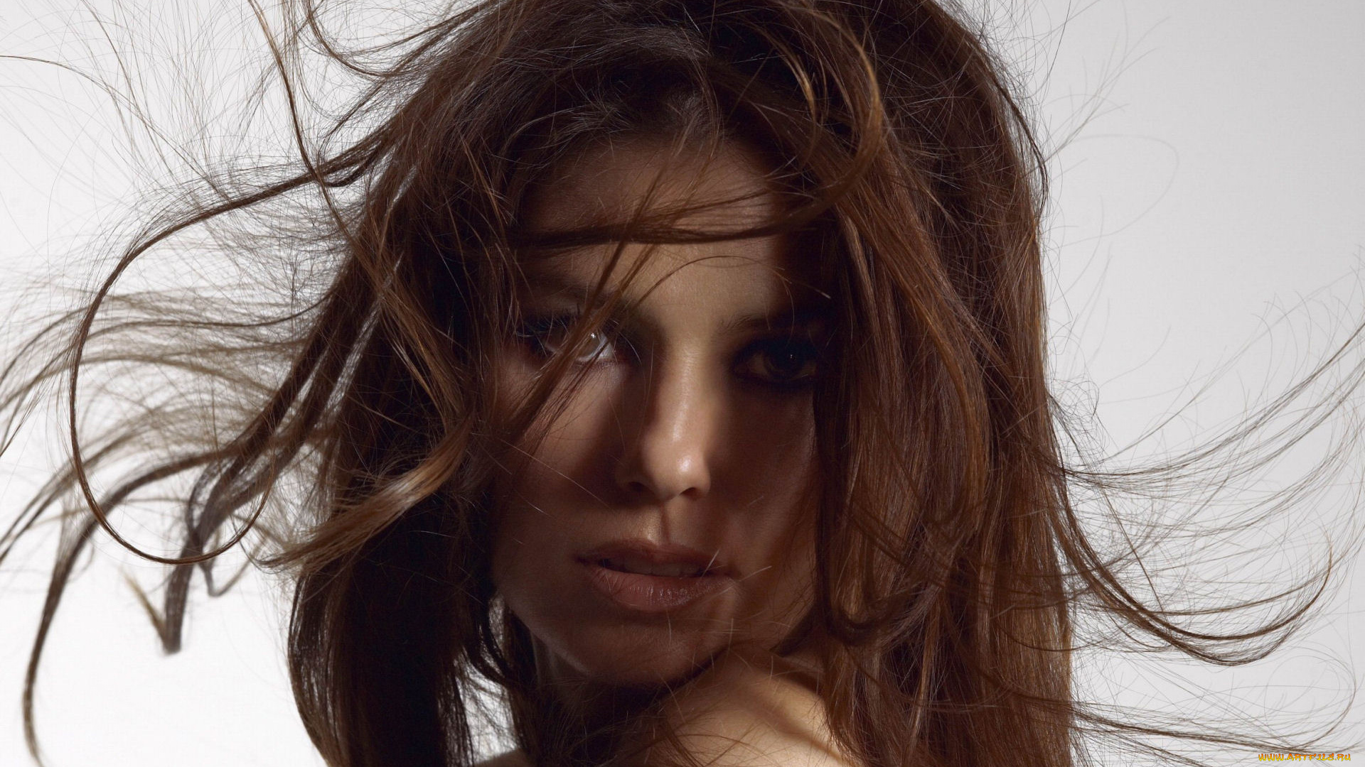 музыка, shania, twain, взгляд