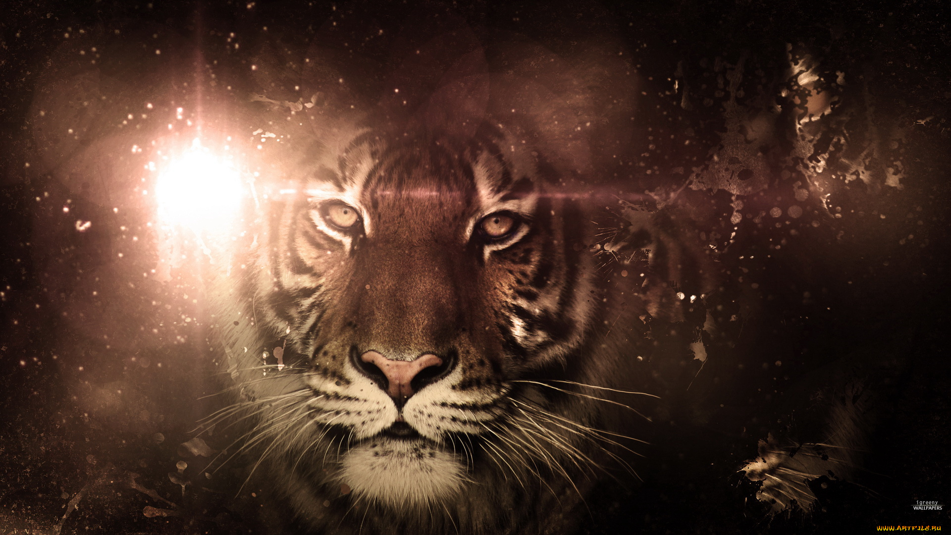 разное, компьютерный, дизайн, тигр