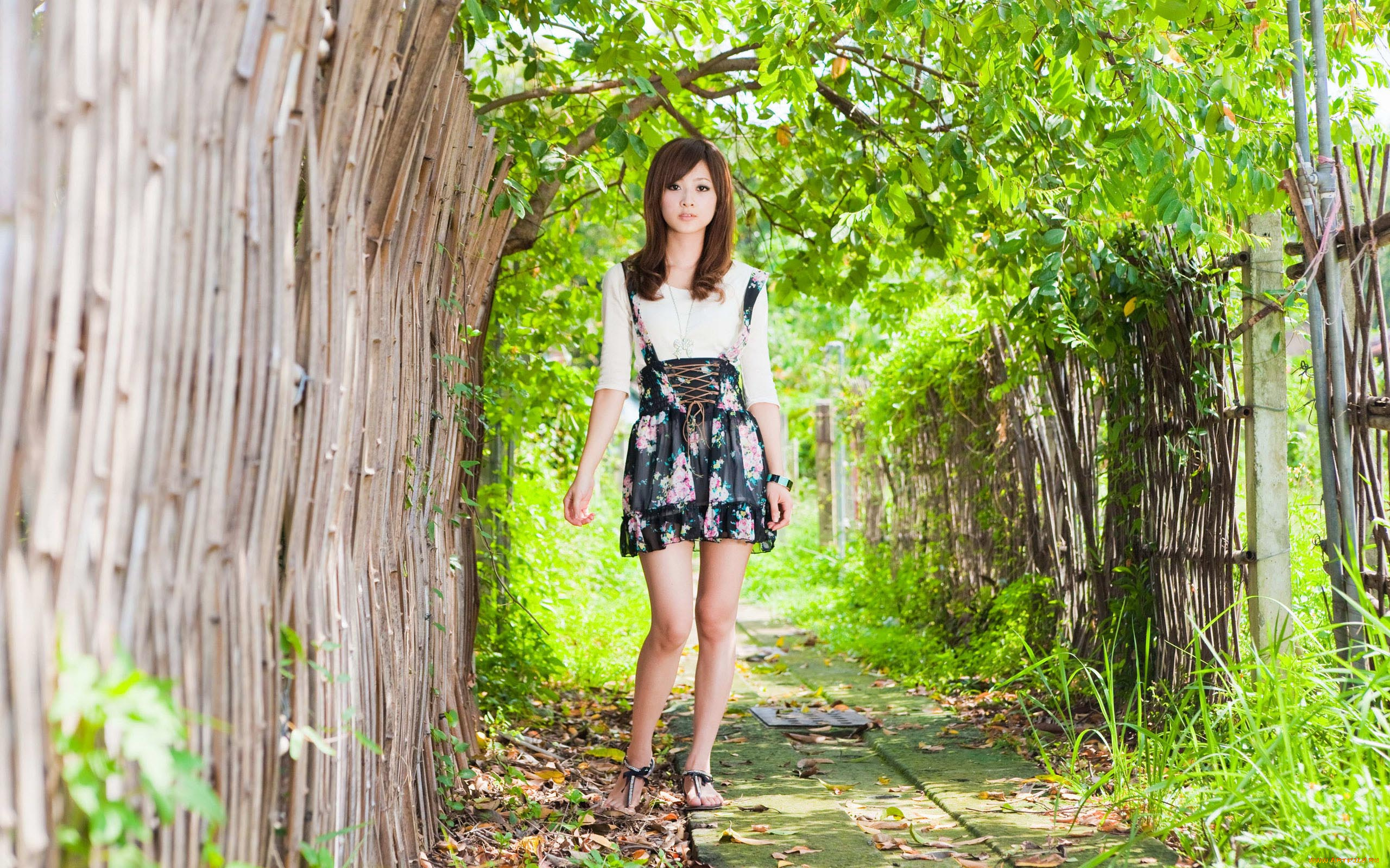 -Unsort, Азиатки, девушки, unsort, азиатки, платье