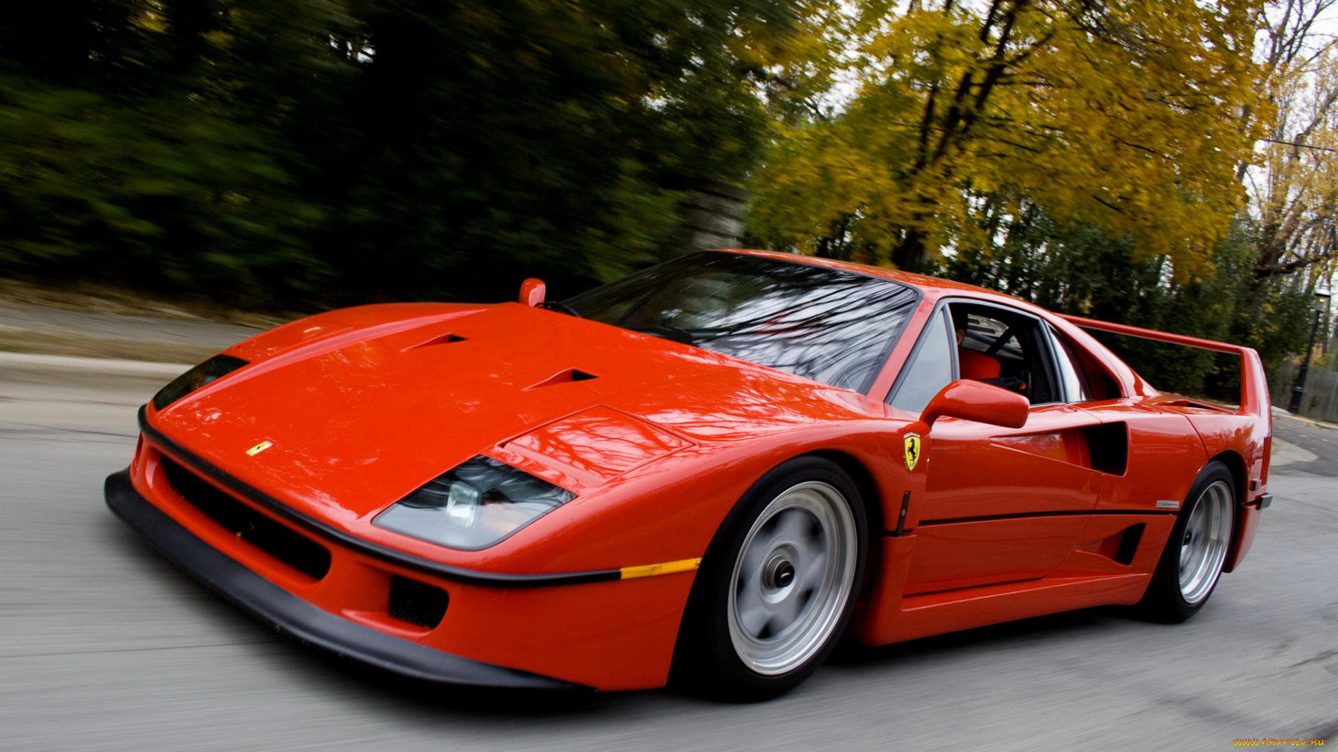 автомобили, ferrari, f40