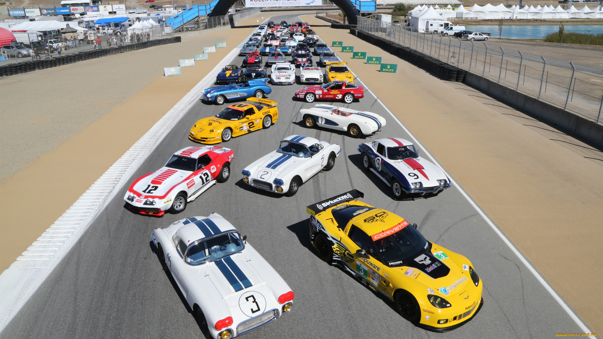 автомобили, выставки, и, уличные, фото, corvette