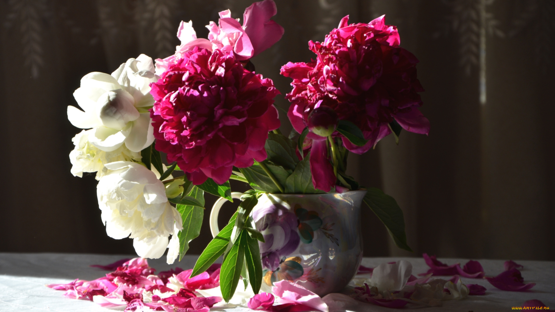 цветы, пионы, букет