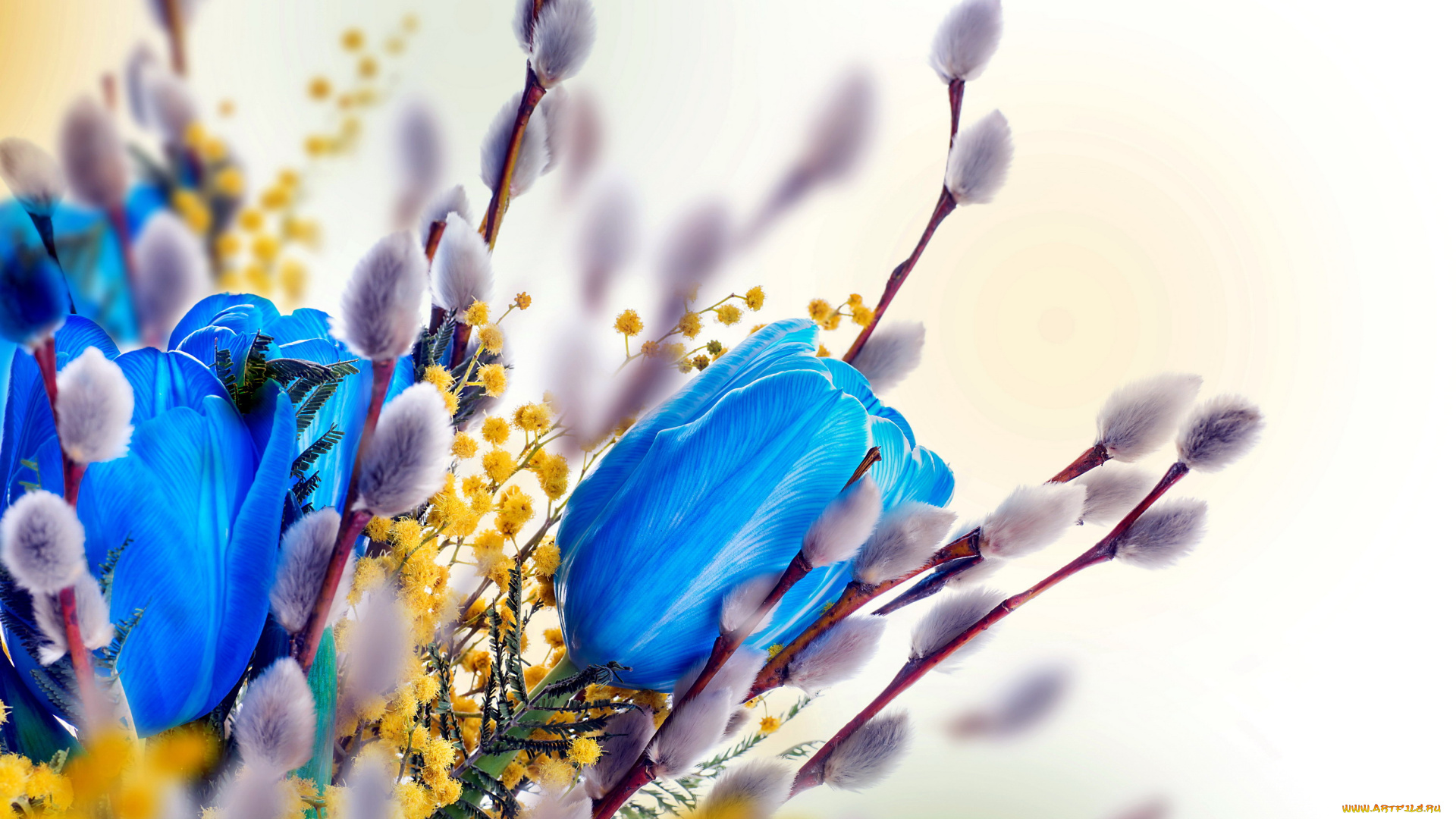 цветы, разные, вместе, мимоза, тюльпаны, верба