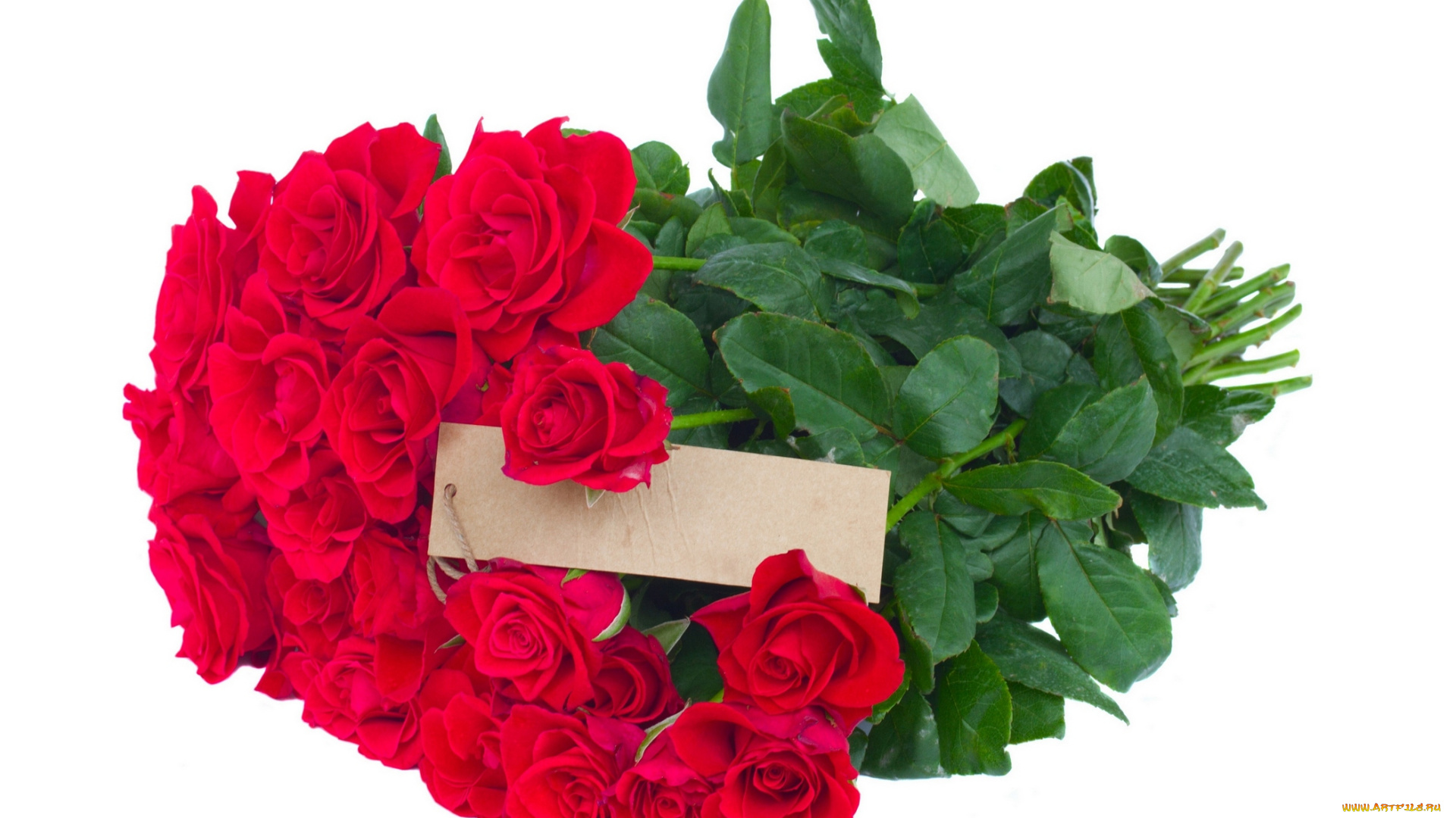 цветы, розы, красные, букет, фон