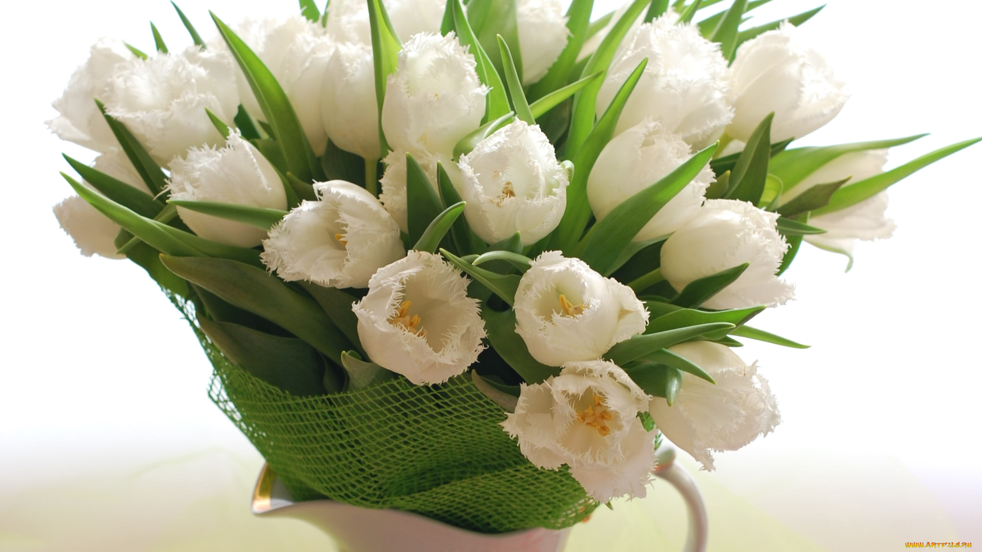 цветы, тюльпаны, букет