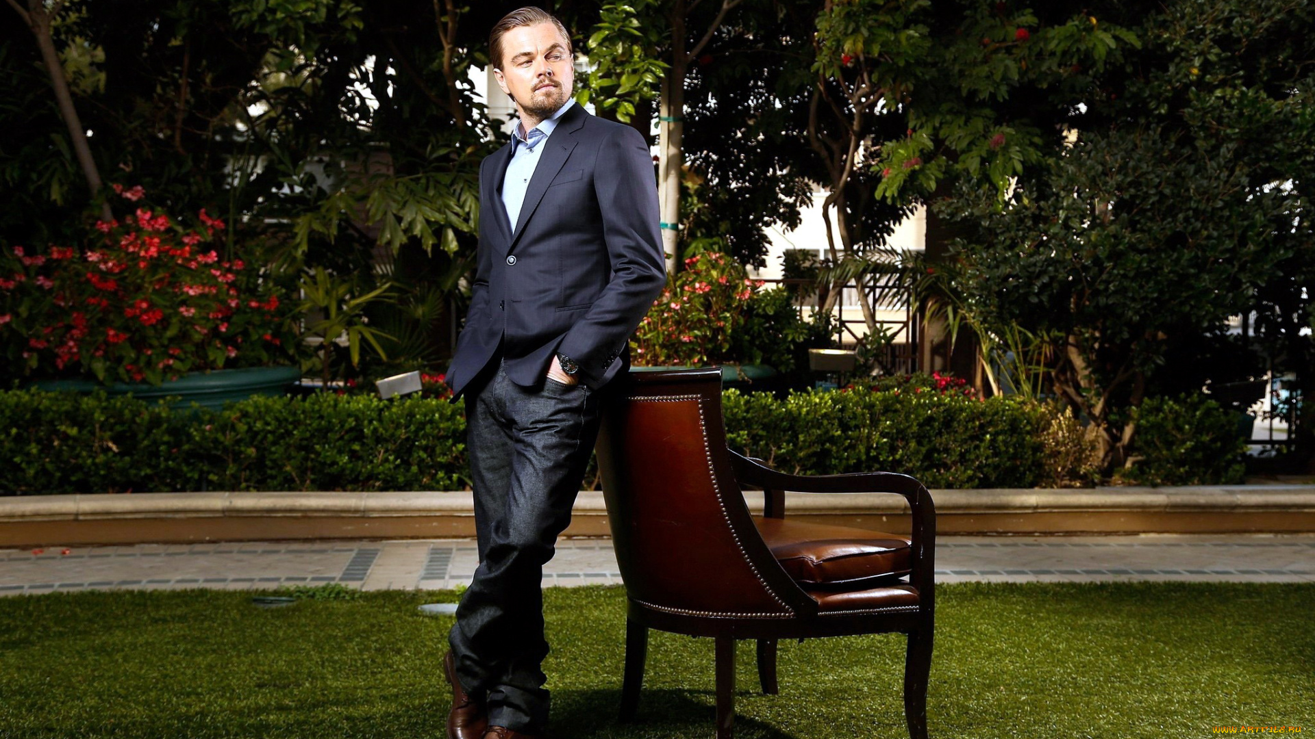 мужчины, leonardo, dicaprio, цветы, кресло, парк