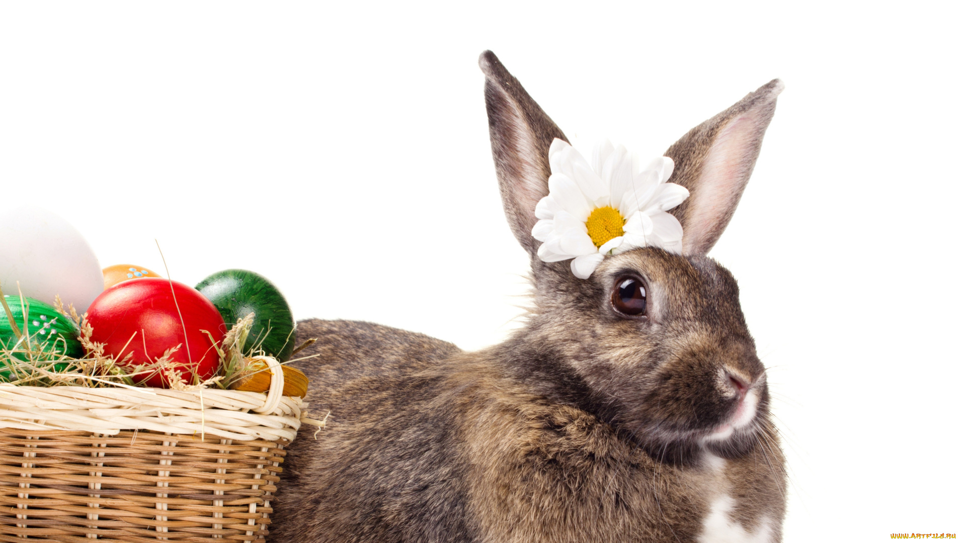 праздничные, пасха, пасхальные, яйца