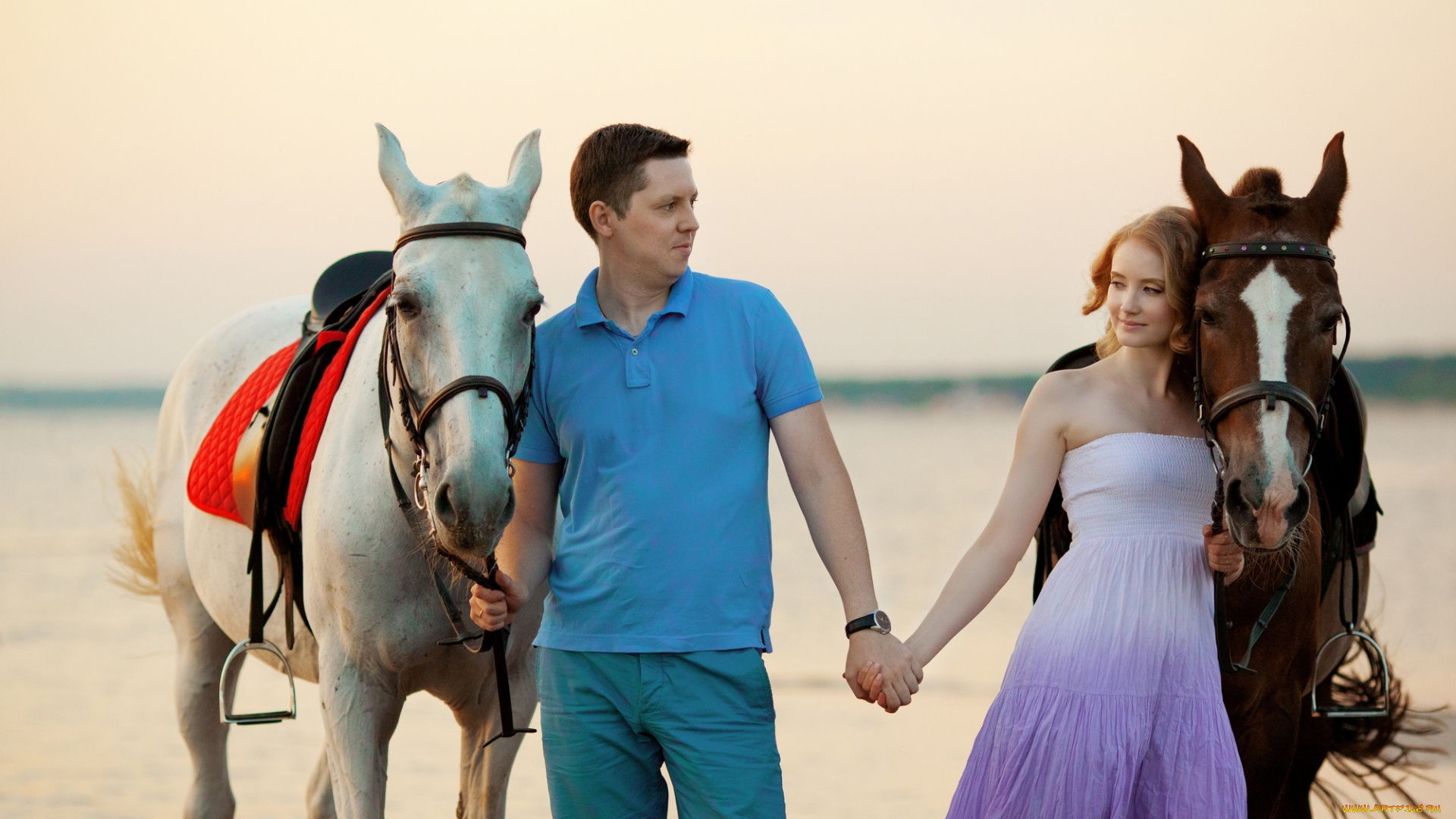 разное, мужчина, женщина, любовь, лошади, езда, девушка, парень, закат, море, лето