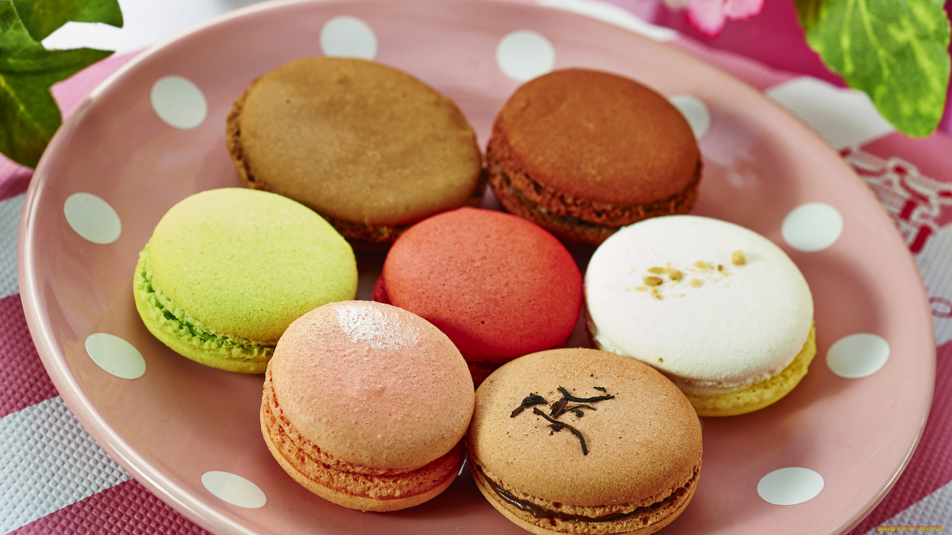 еда, макаруны, десерт, пирожное