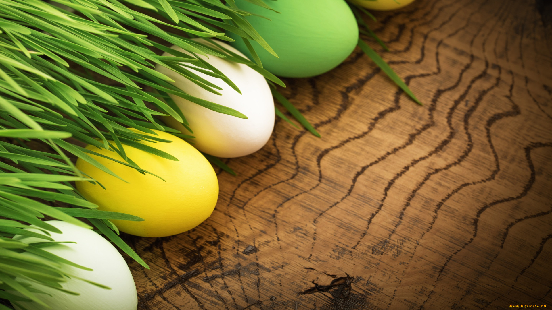 праздничные, пасха, цветы, яйца, flowers, spring, decoration, eggs, happy, easter, весна, трава