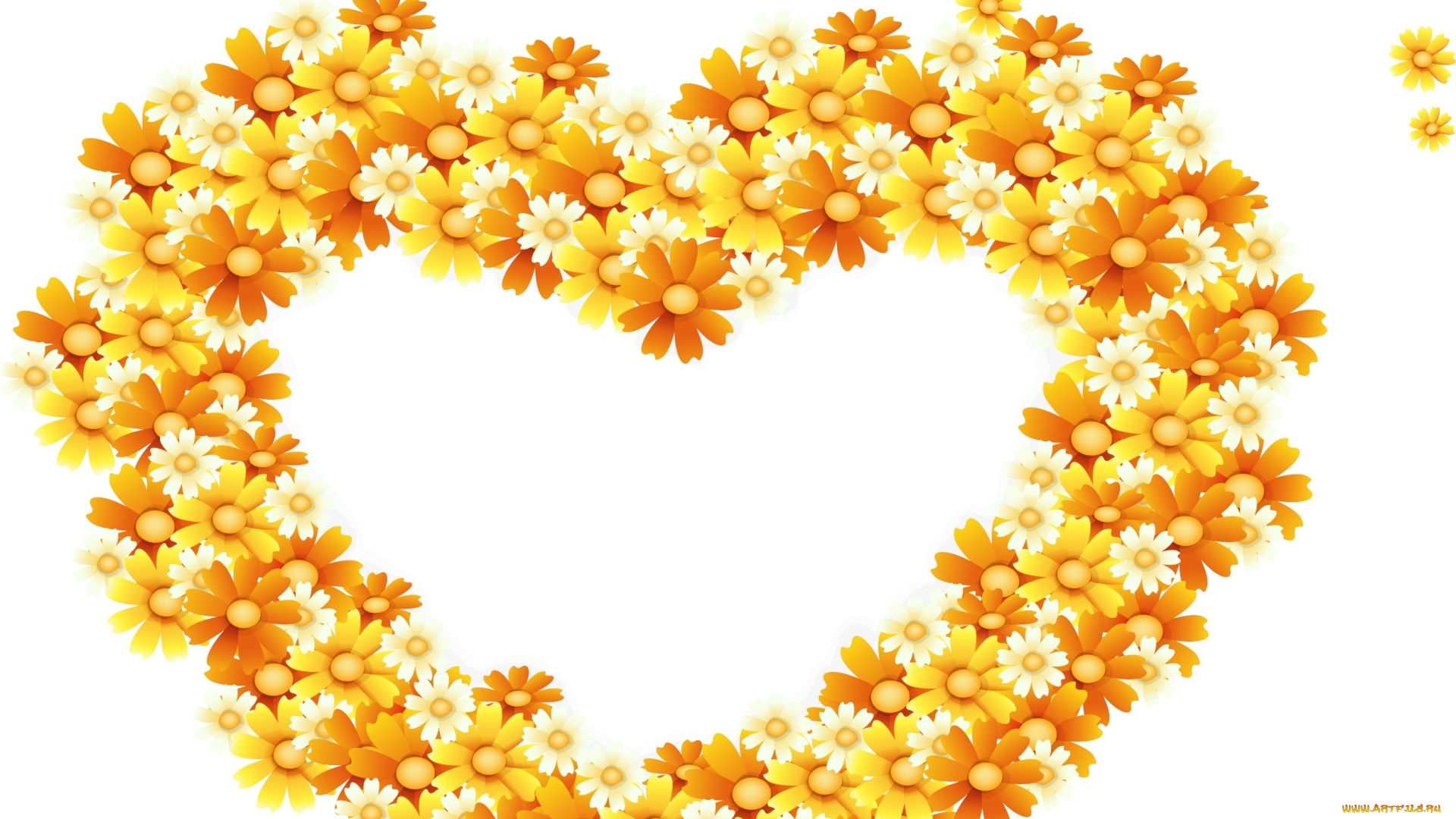 векторная, графика, цветы, , flowers, цветы, фон