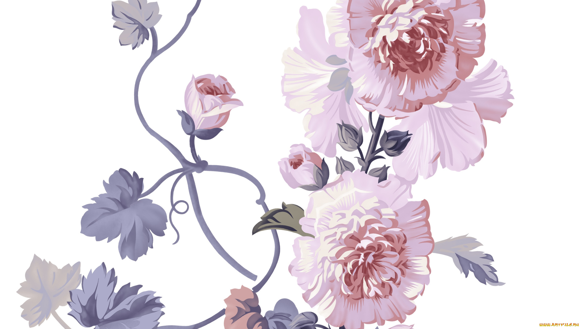 векторная, графика, цветы, , flowers, лепестки, цветы, фон