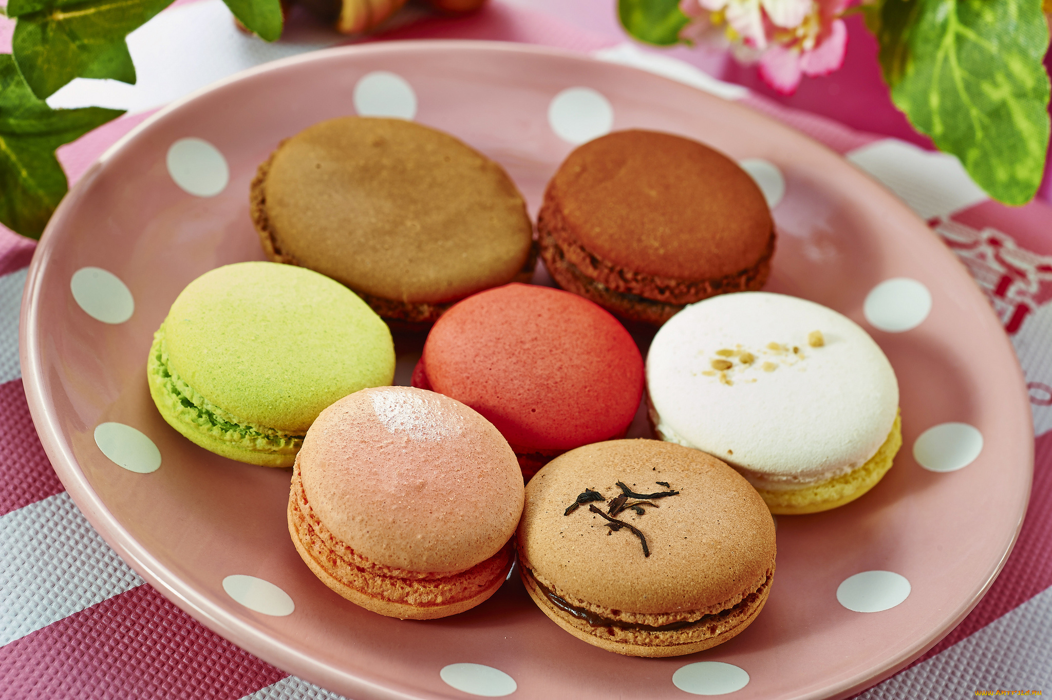 еда, макаруны, десерт, пирожное