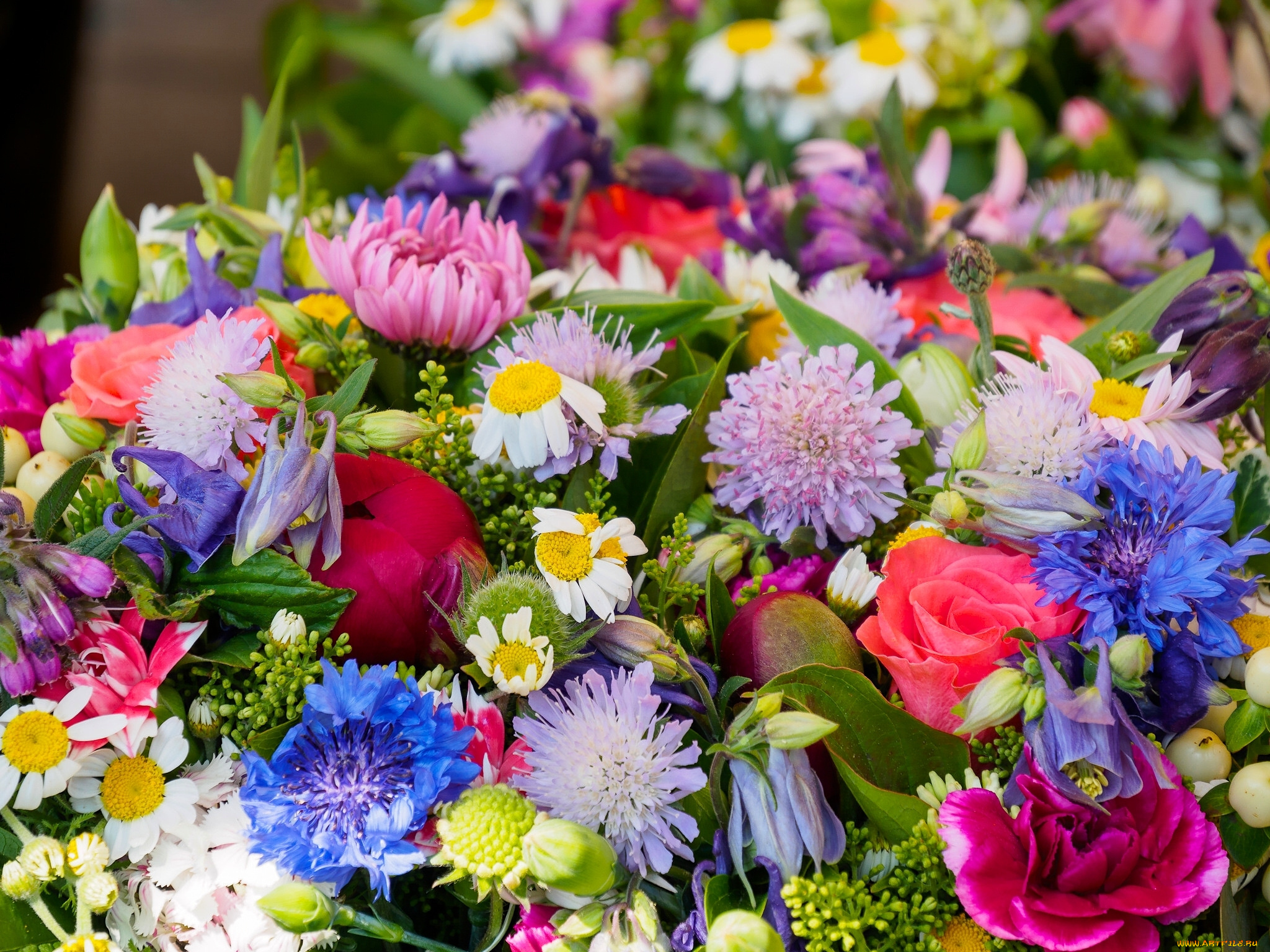 цветы, разные, вместе, гвоздика, роза, василёк, ромашка, букет, разноцветный