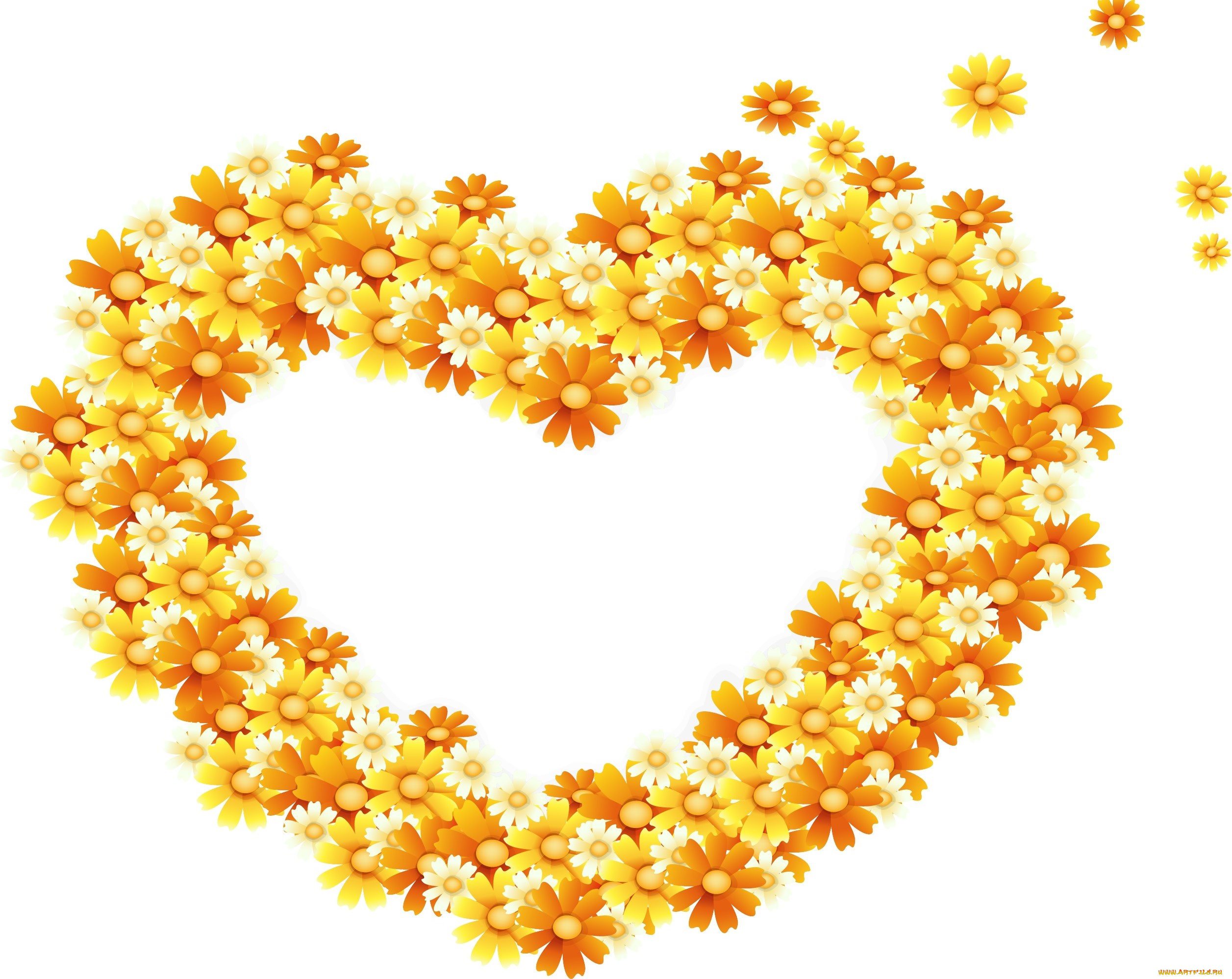 векторная, графика, цветы, , flowers, цветы, фон