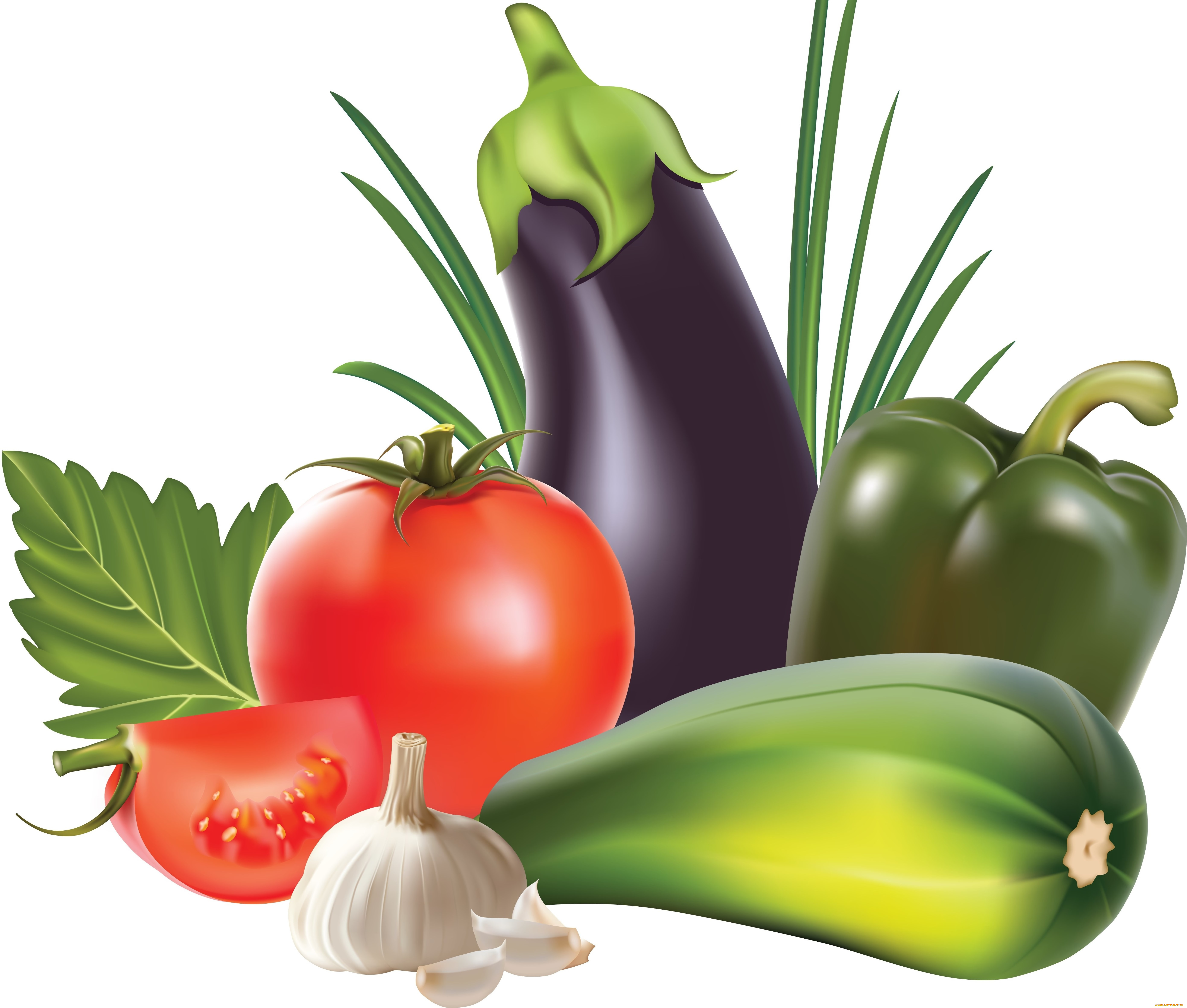 векторная, графика, еда, , food, приправа, перец, грибы, помидор, чеснок