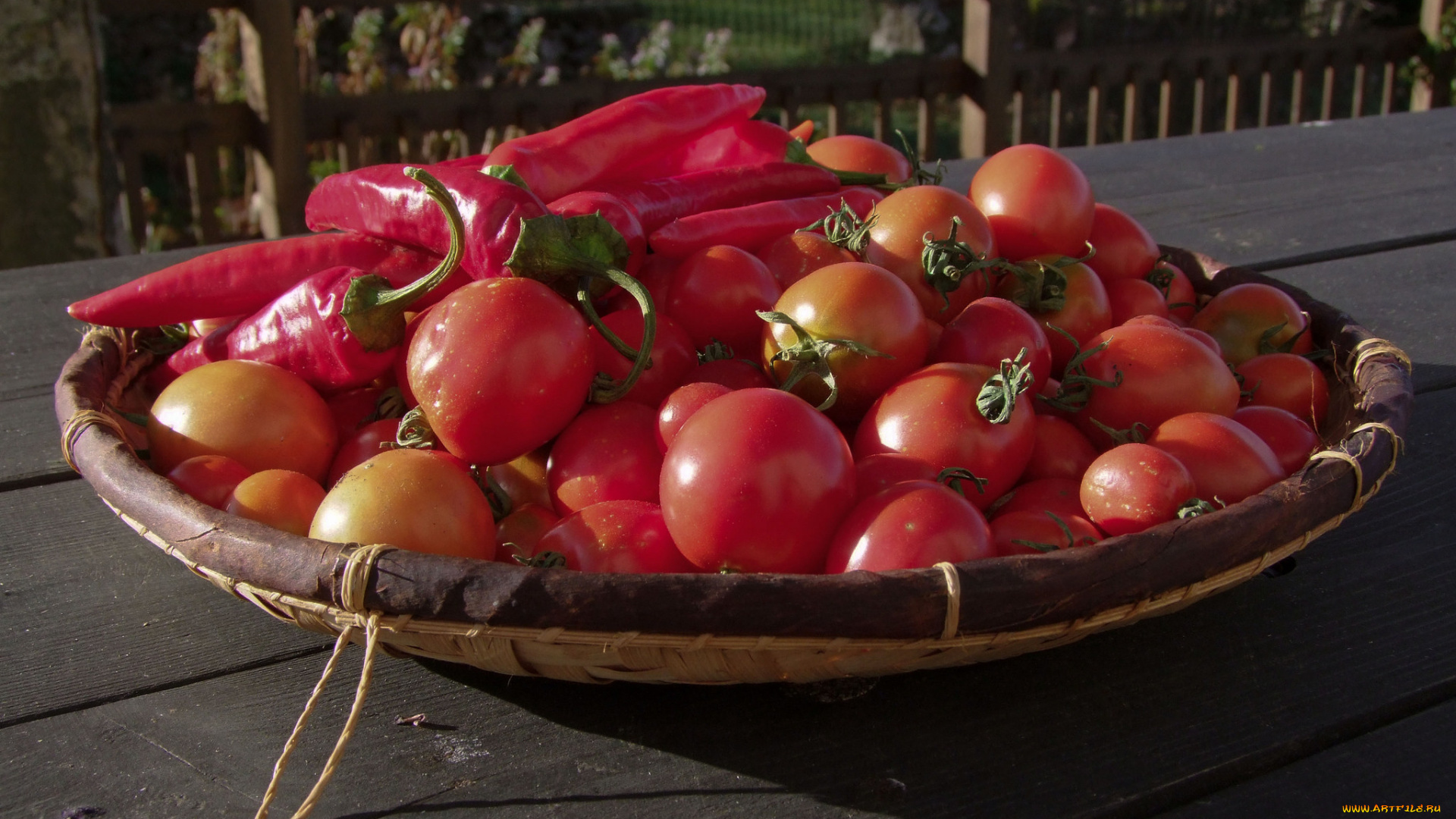 еда, овощи, томаты