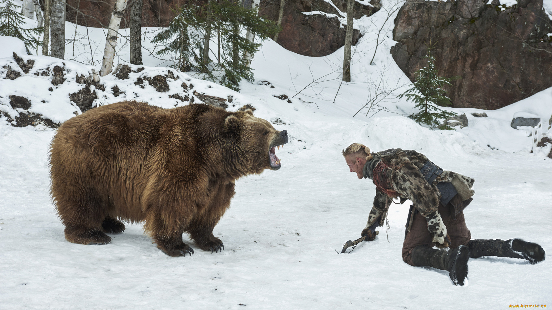 кино, фильмы, vikings, , 2013, , сериал, alexander, ludwig, бьёрн, медведь, викинги, vikings, поединок