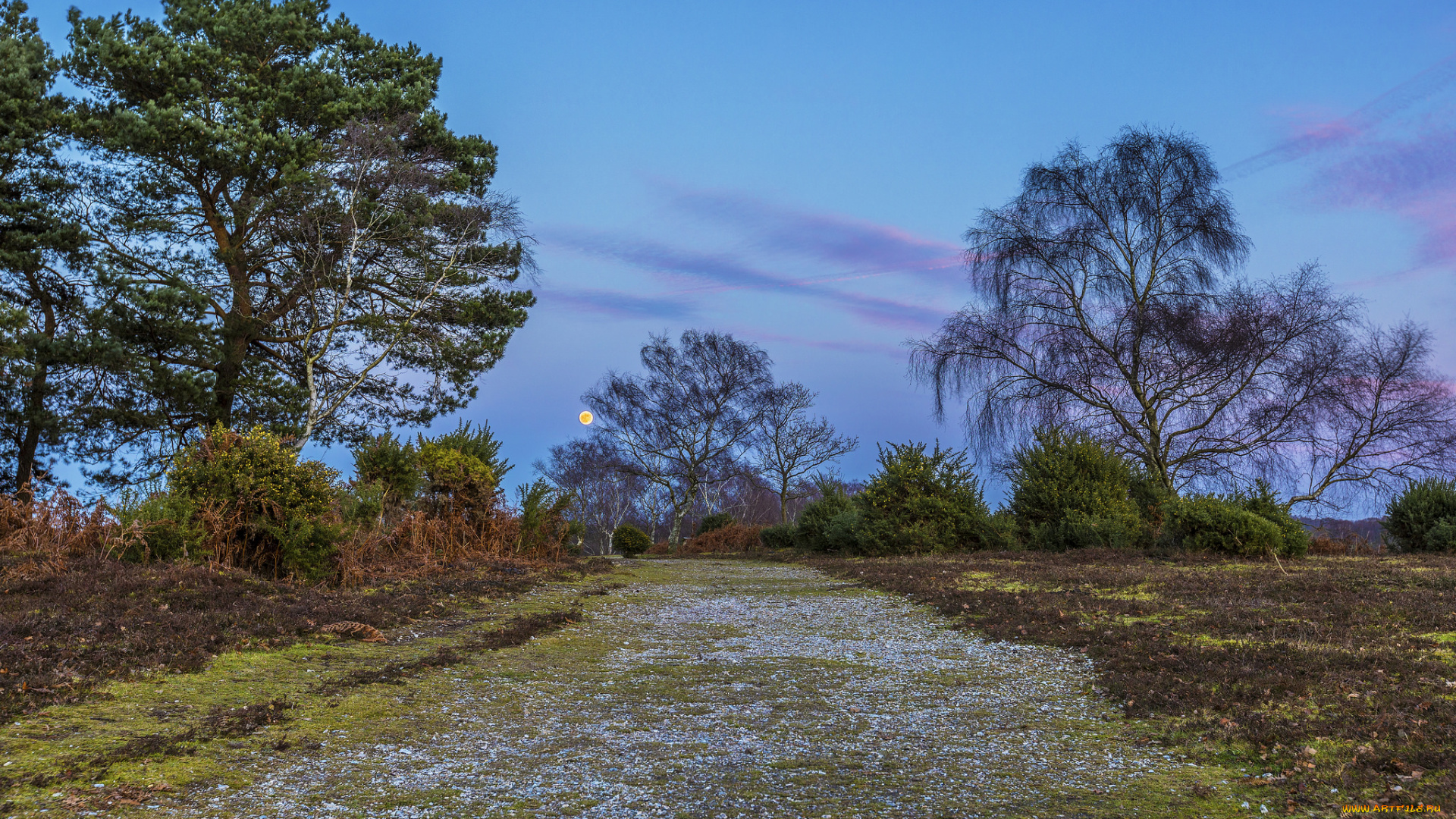 природа, дороги, тракт