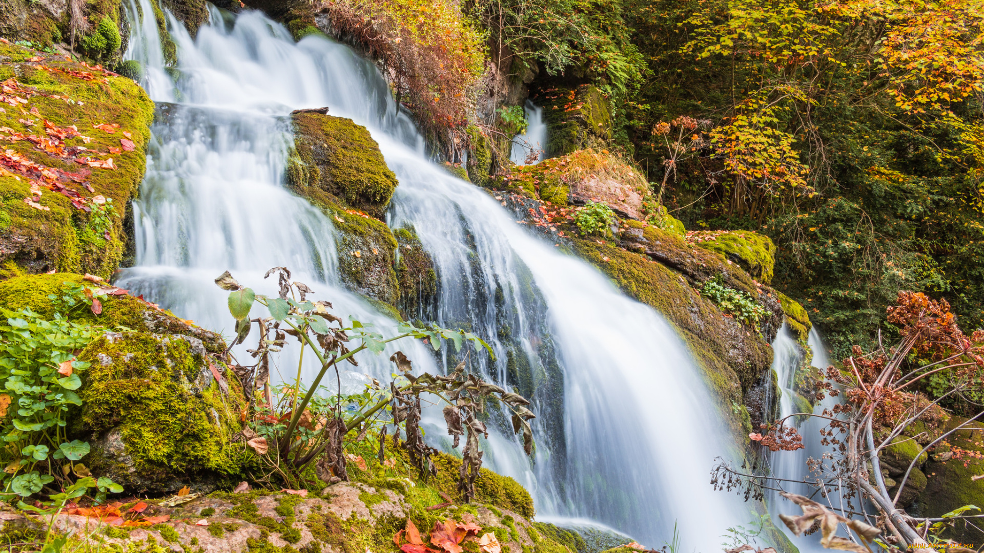 природа, водопады, река, водопад, лес
