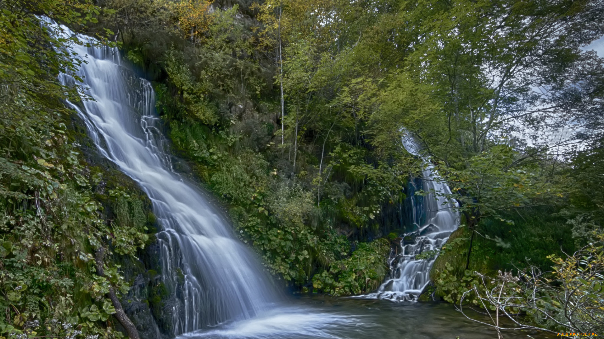 природа, водопады, водопад, река, лес