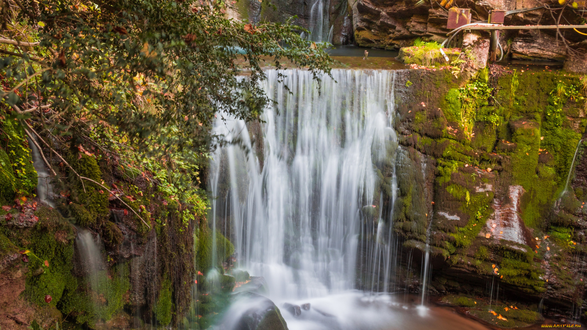 природа, водопады, водопад, река, лес