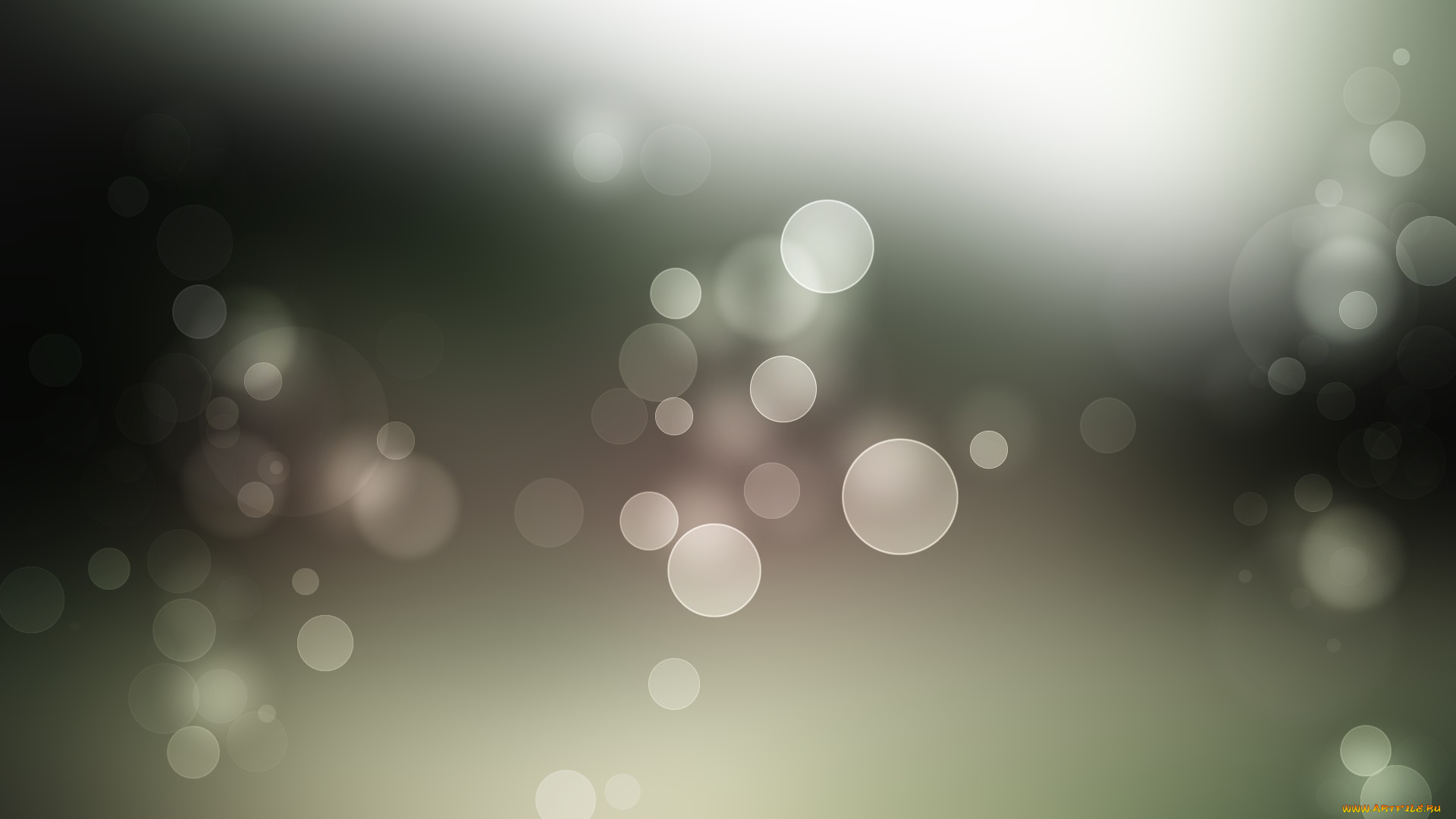 векторная, графика, графика, , graphics, фон, узор, цвета