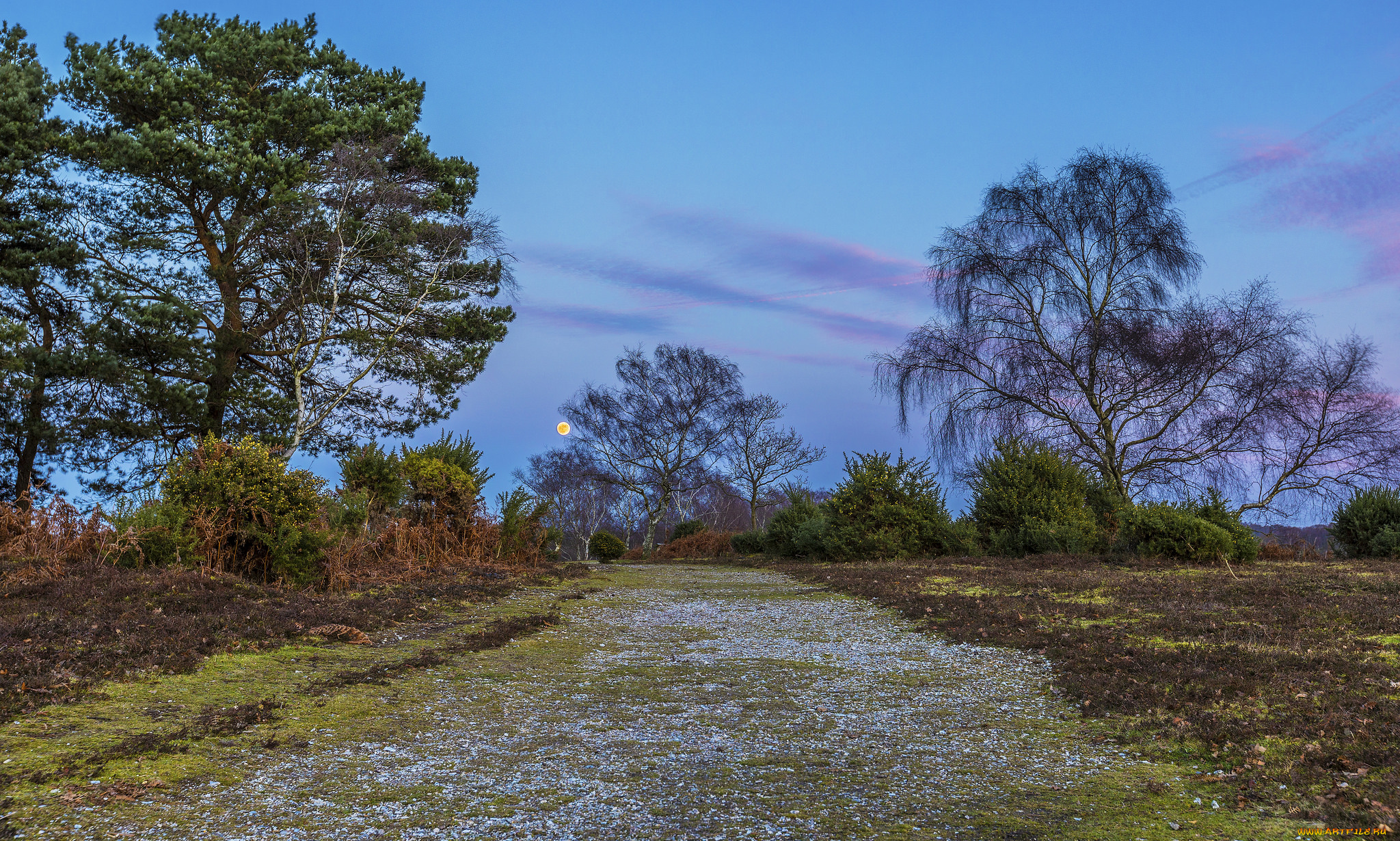 природа, дороги, тракт